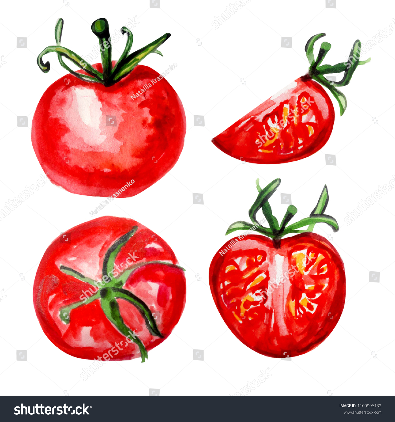 tomato water colour  #1109996132