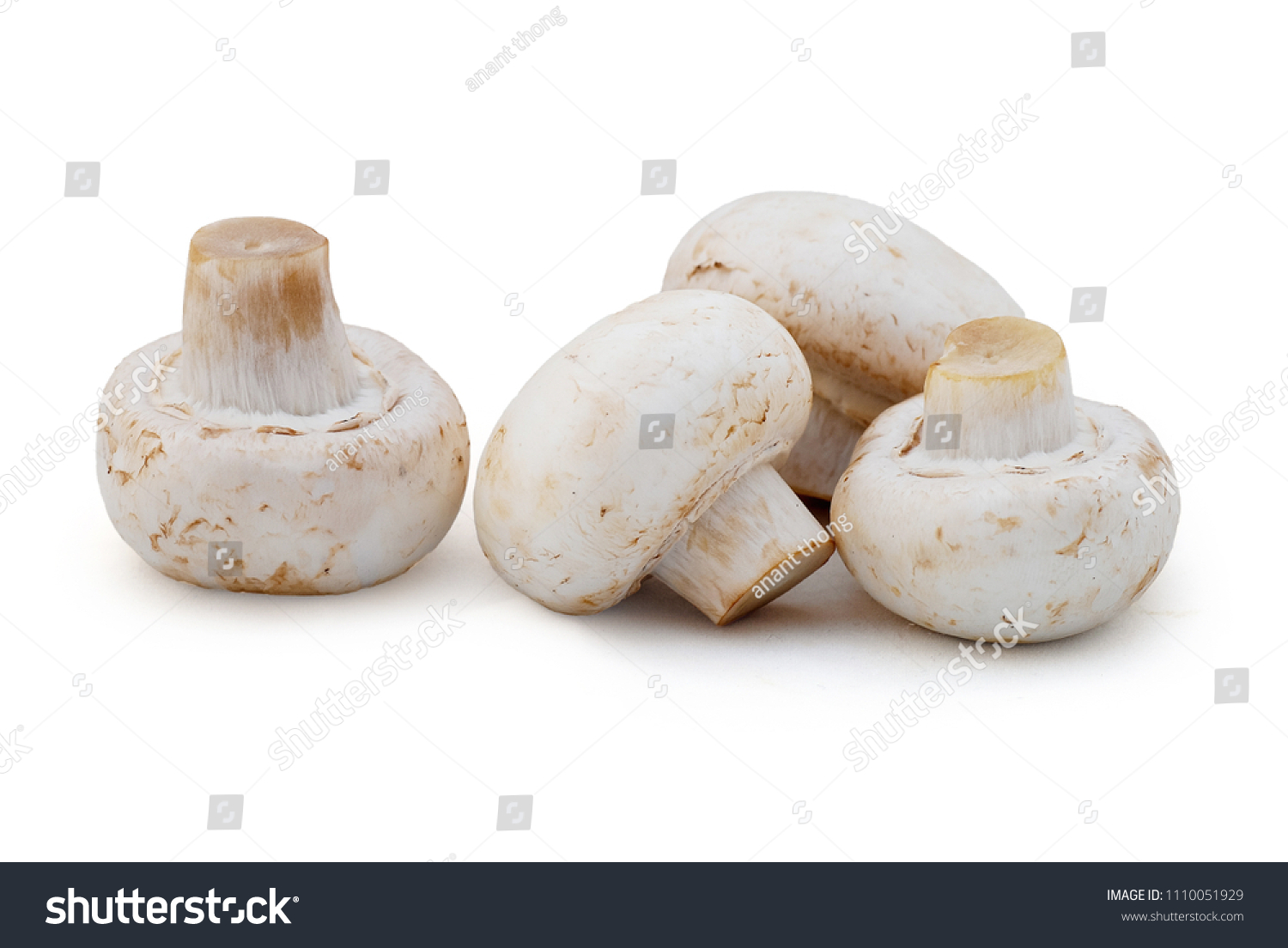 Fresh Champignons Mushroom on a white background. Clipping Path #1110051929