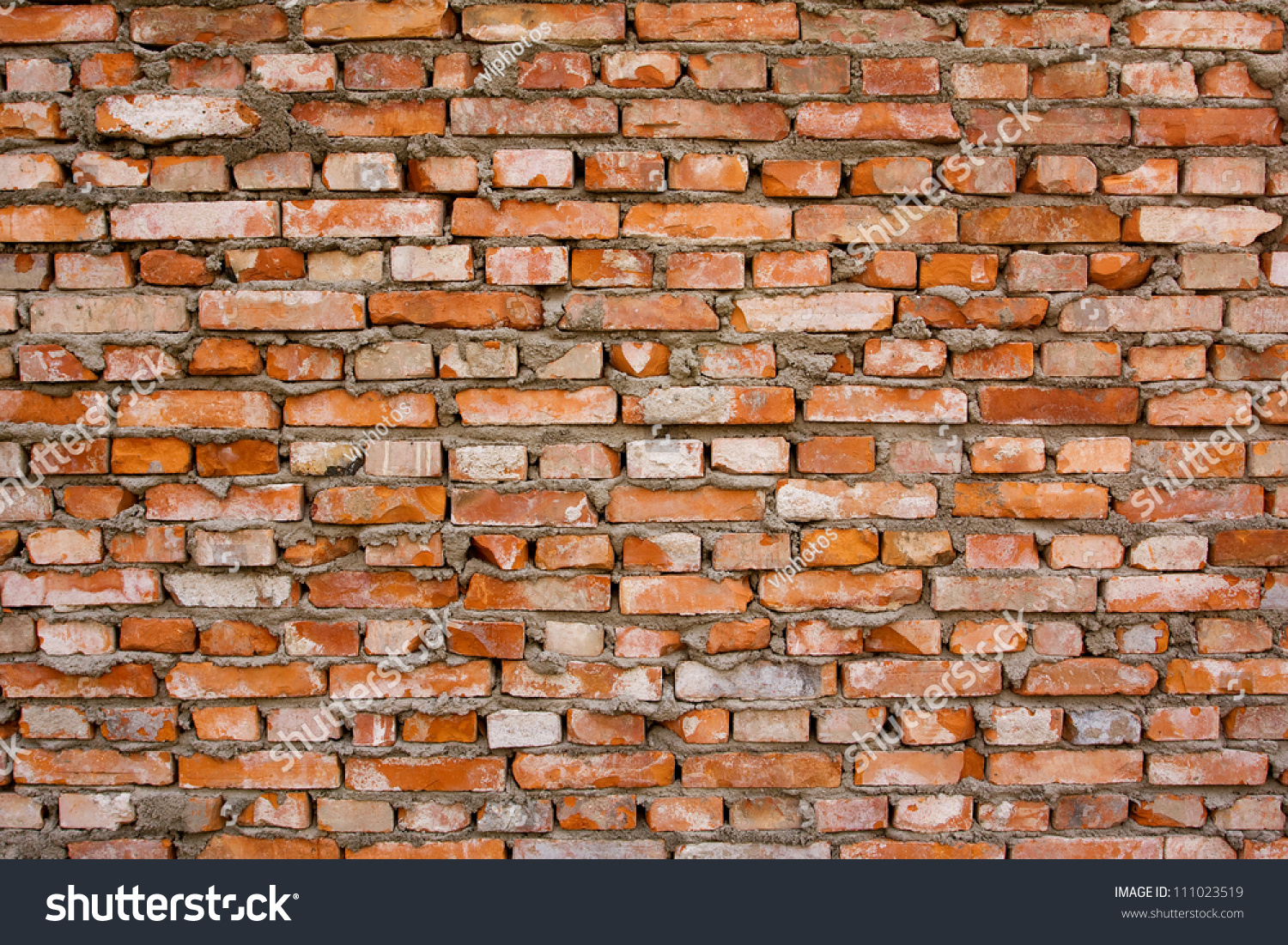 Red brick background textured #111023519