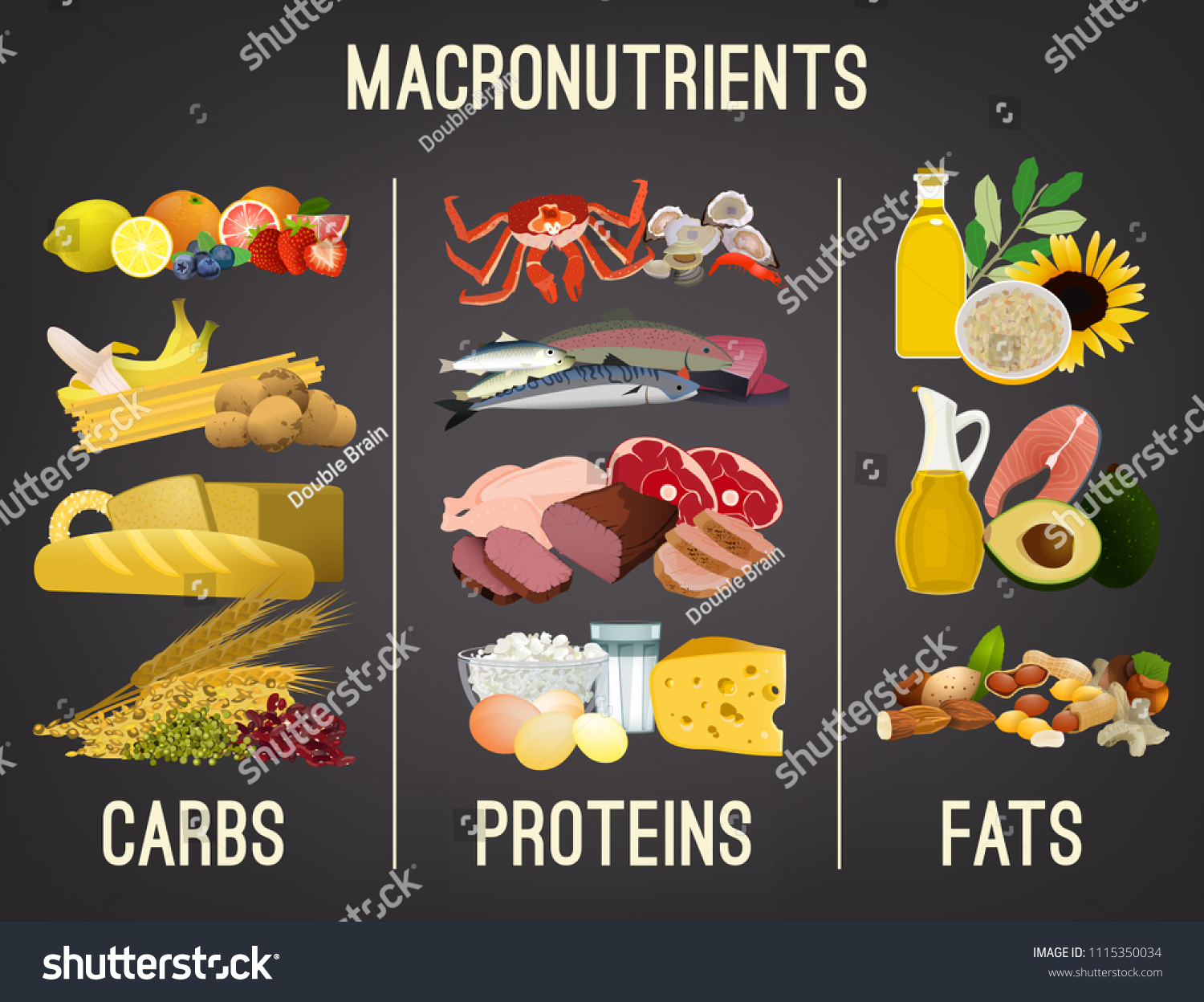 Main Food Groups Macronutrients Carbohydrates Royalty Free Stock Vector 1115350034 1145