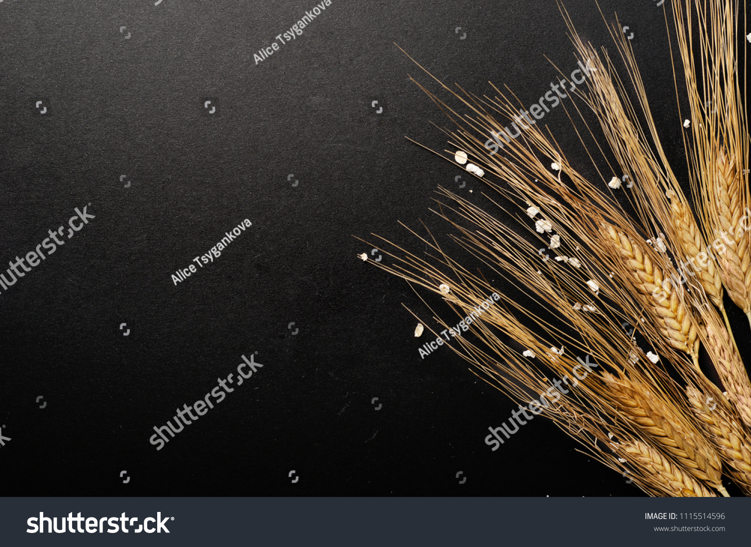Dry ears of oats on a black background. Harvesting. Copy space #1115514596