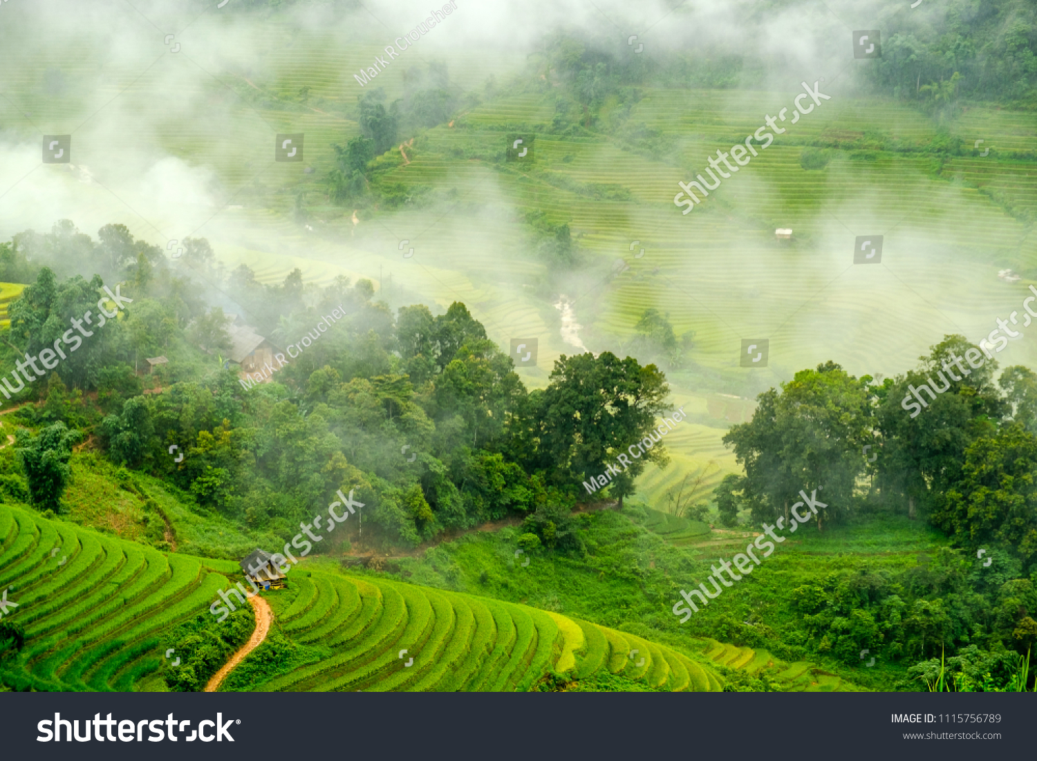 Lush rice paddy terraces of the misty mountains in Sapa, Lao Cai Province, north west Vietnam. #1115756789
