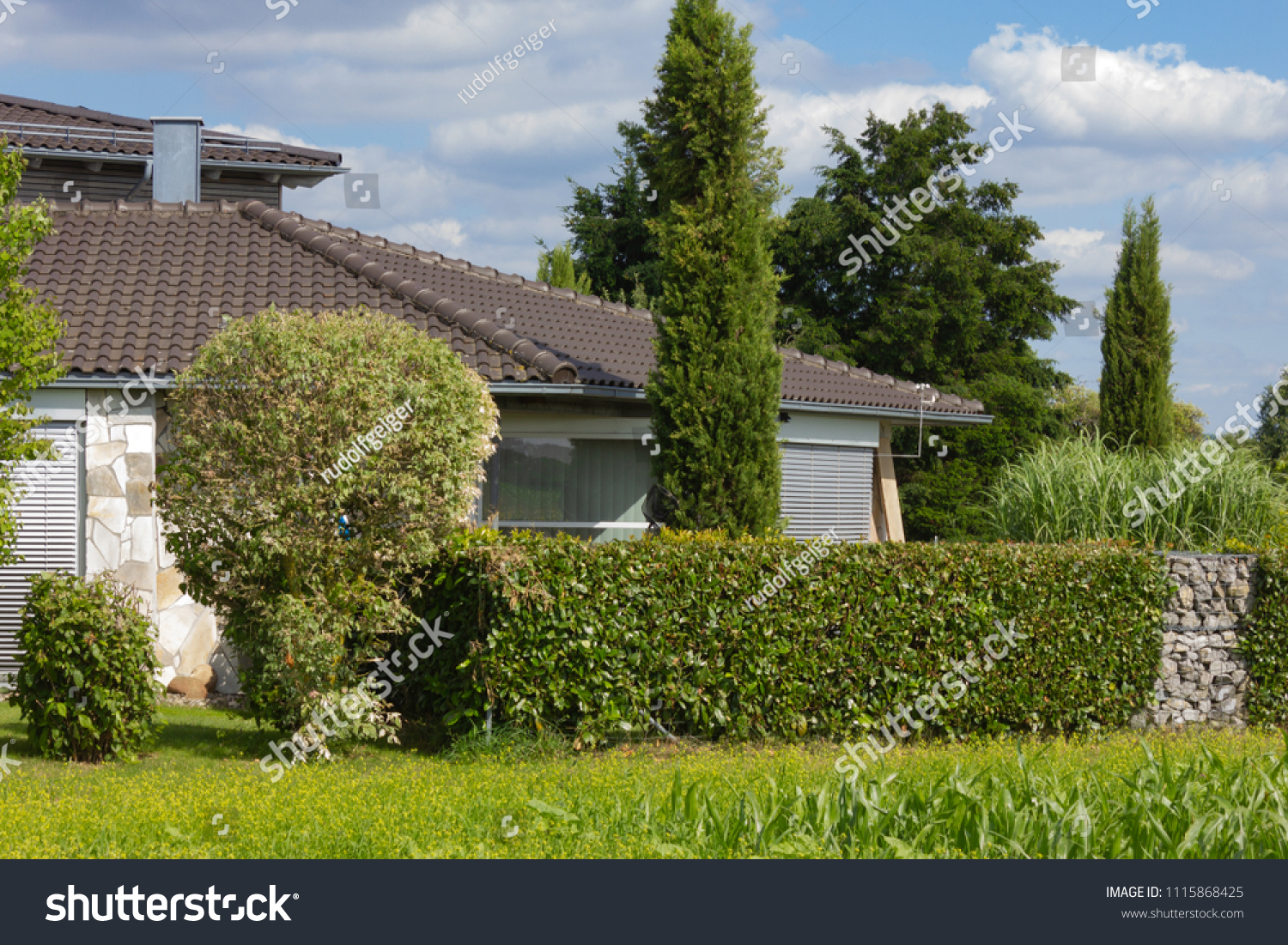 house of rural village on horizon under blue sky near corn field in south germany countryside #1115868425