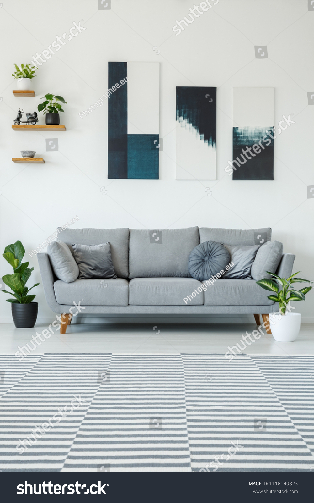 Posters above grey settee in bright living room interior with plants and patterned carpet. Real photo #1116049823