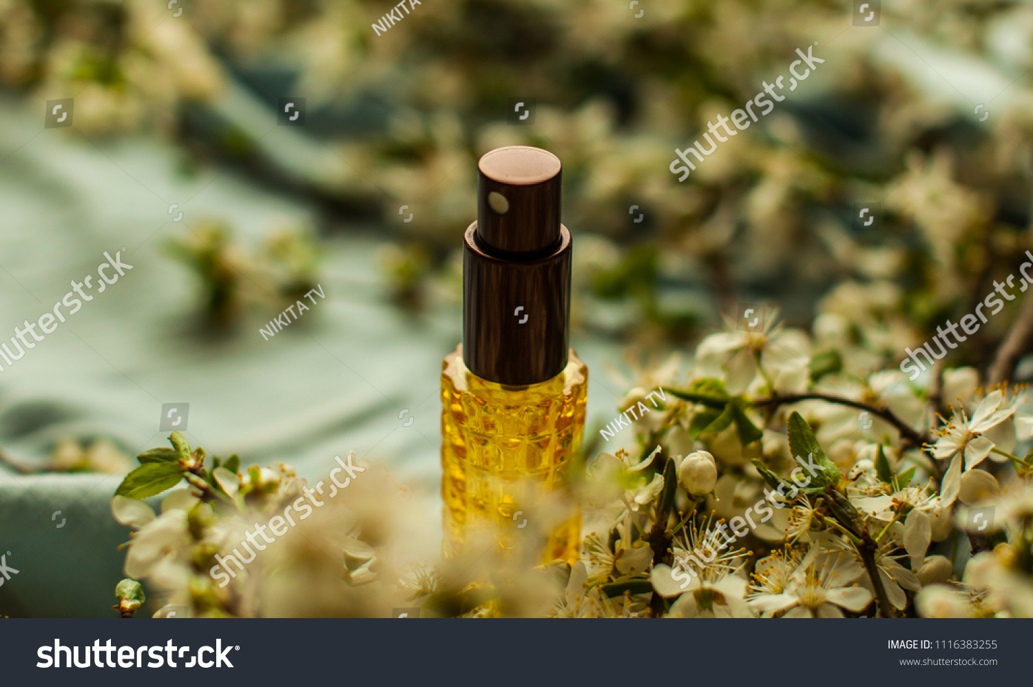 perfume and aromatic oils bottles surrounded by fresh flower
 #1116383255