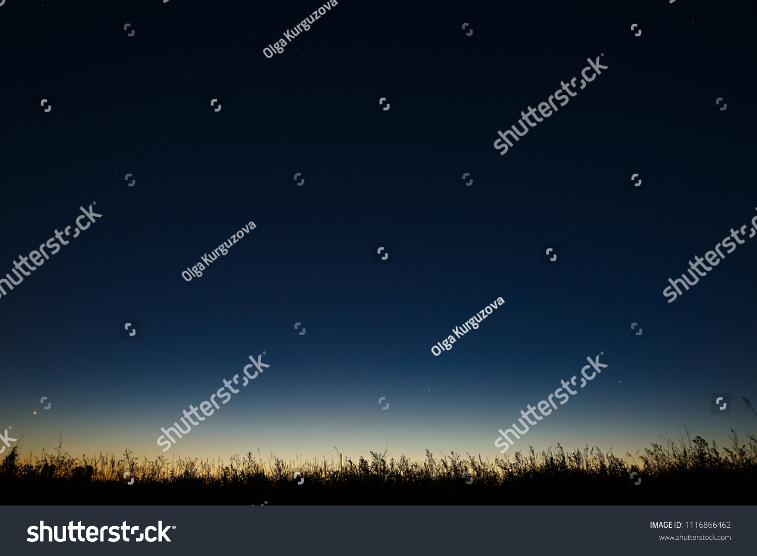Stars in the night sky. A view of outer space at dusk. #1116866462