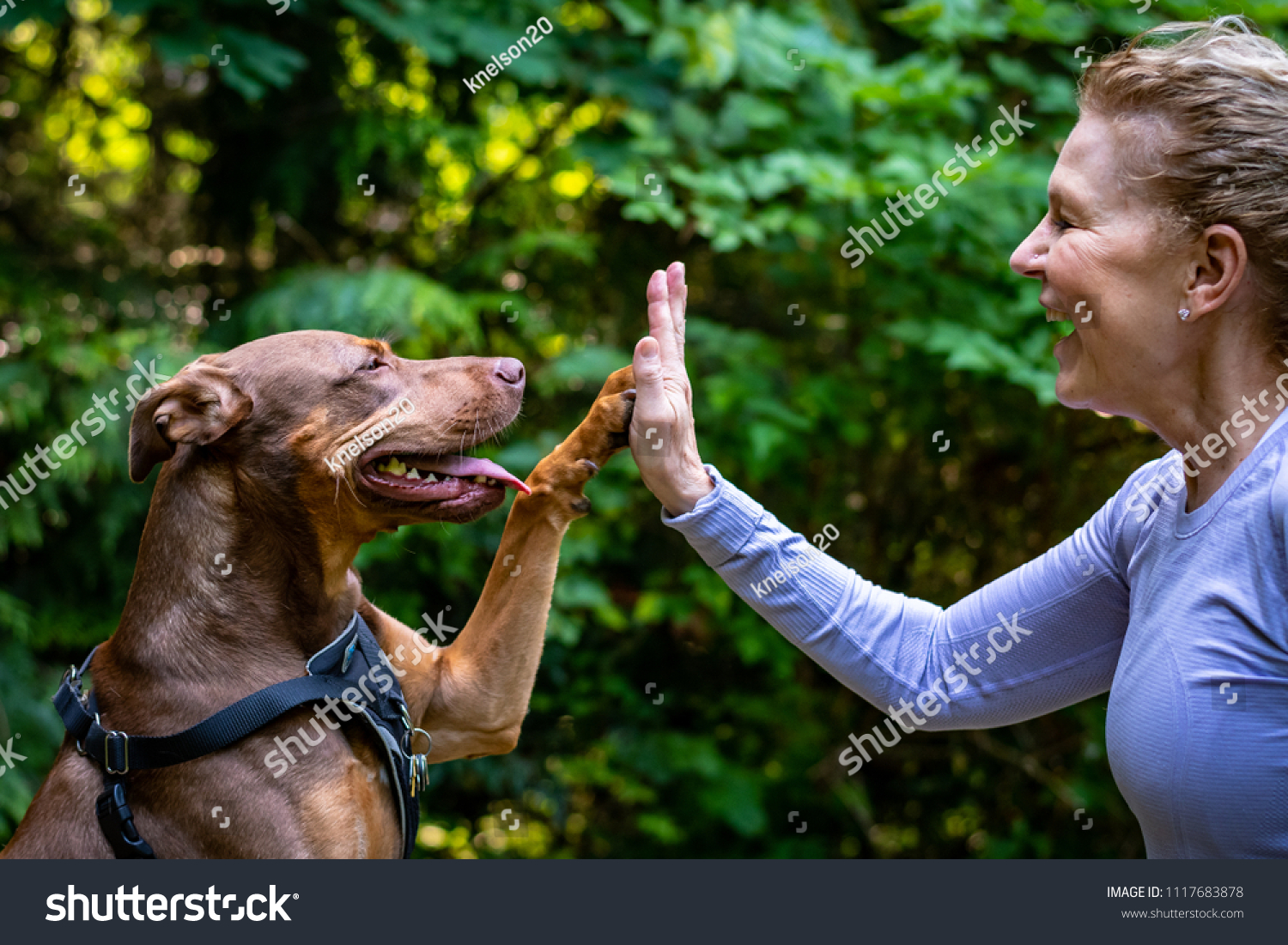 A middle aged woman and her two toned brown dog out in the woods, dog and woman playing high five and smiling
 #1117683878