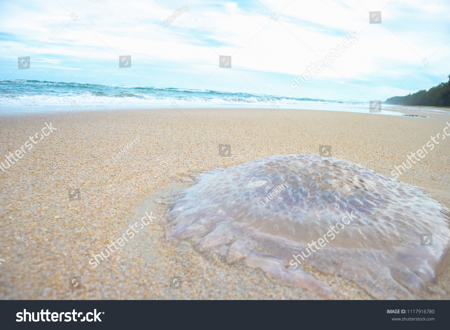 death jellyfish on white sand beach with nice summer sky at Huai Yang, Thailand #1117916780