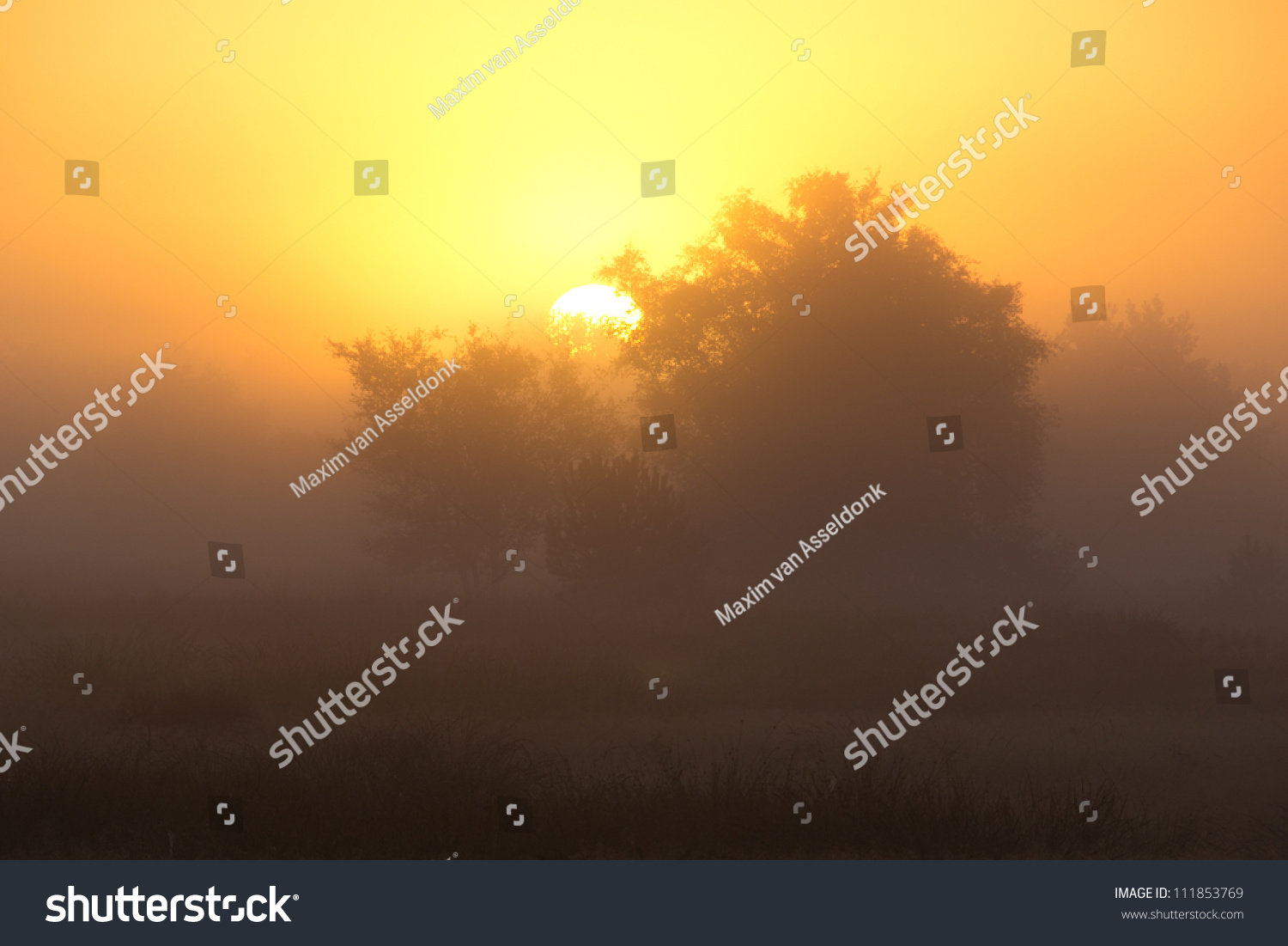 A beautiful foggy sunrise in early autumn #111853769