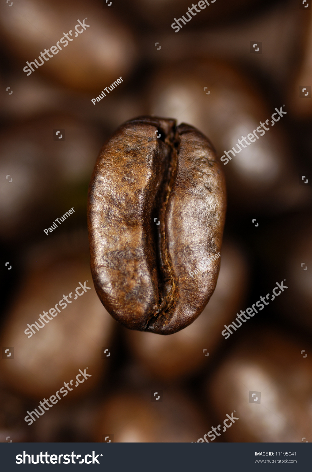 single coffee bean on a background of blurred coffee beans #11195041