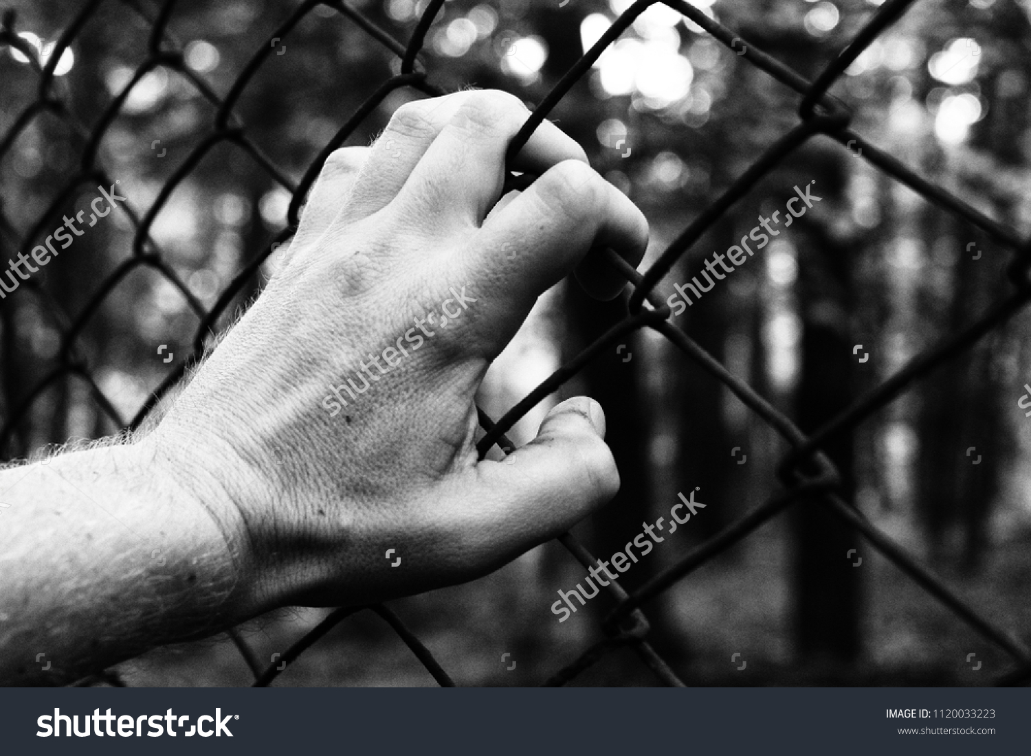 A hand and a fence that symbolizes captivity and a desire for freedom #1120033223