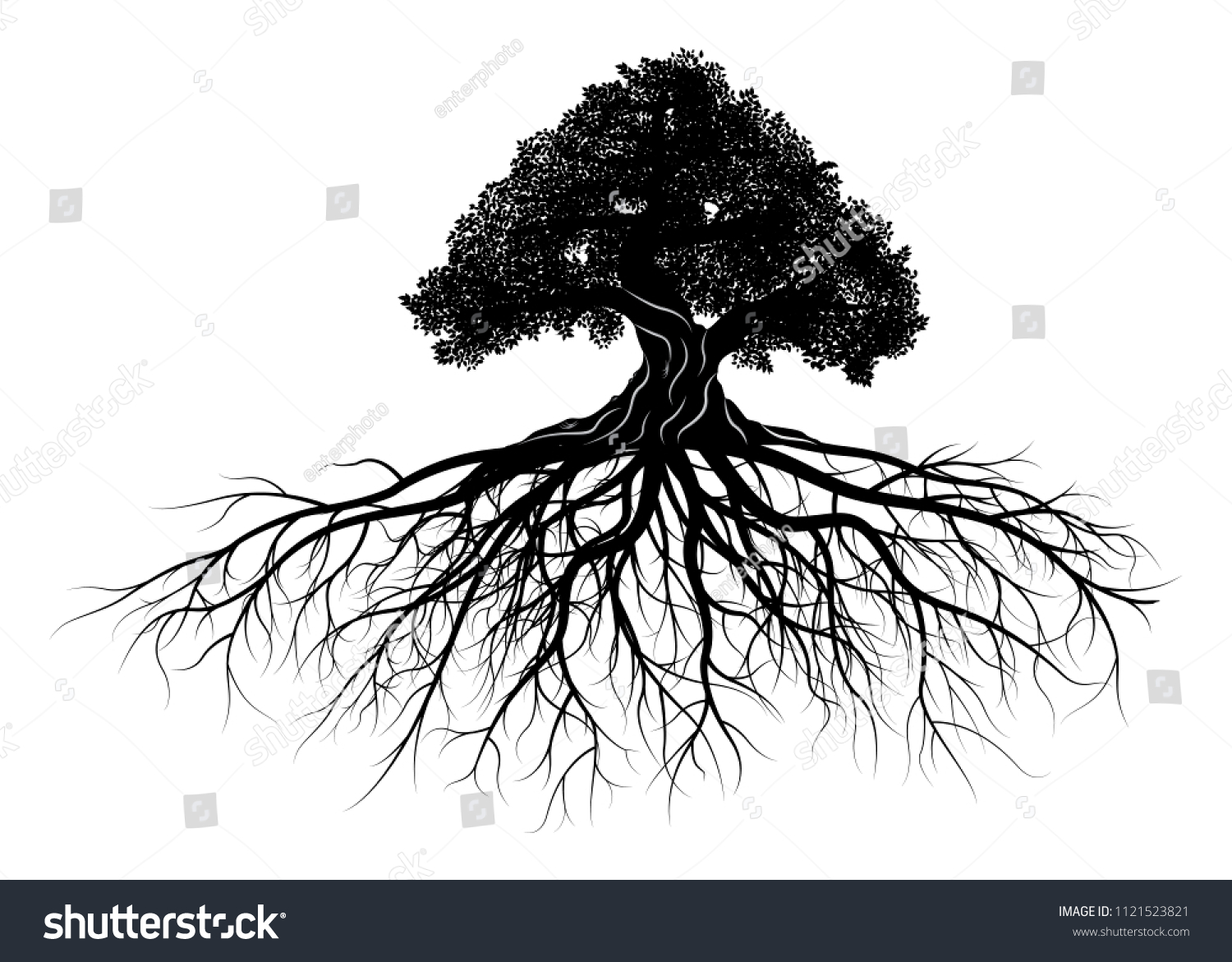 tree silhouette on white background. Vector illustration. #1121523821