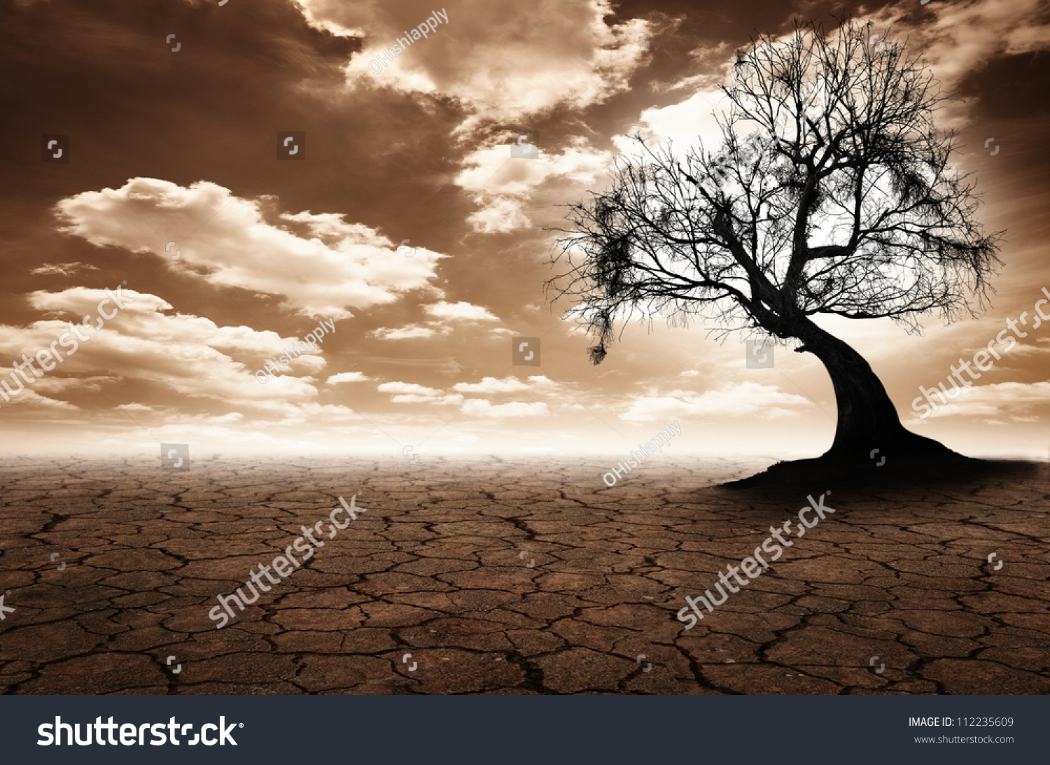 Lonely dead tree. Art nature #112235609