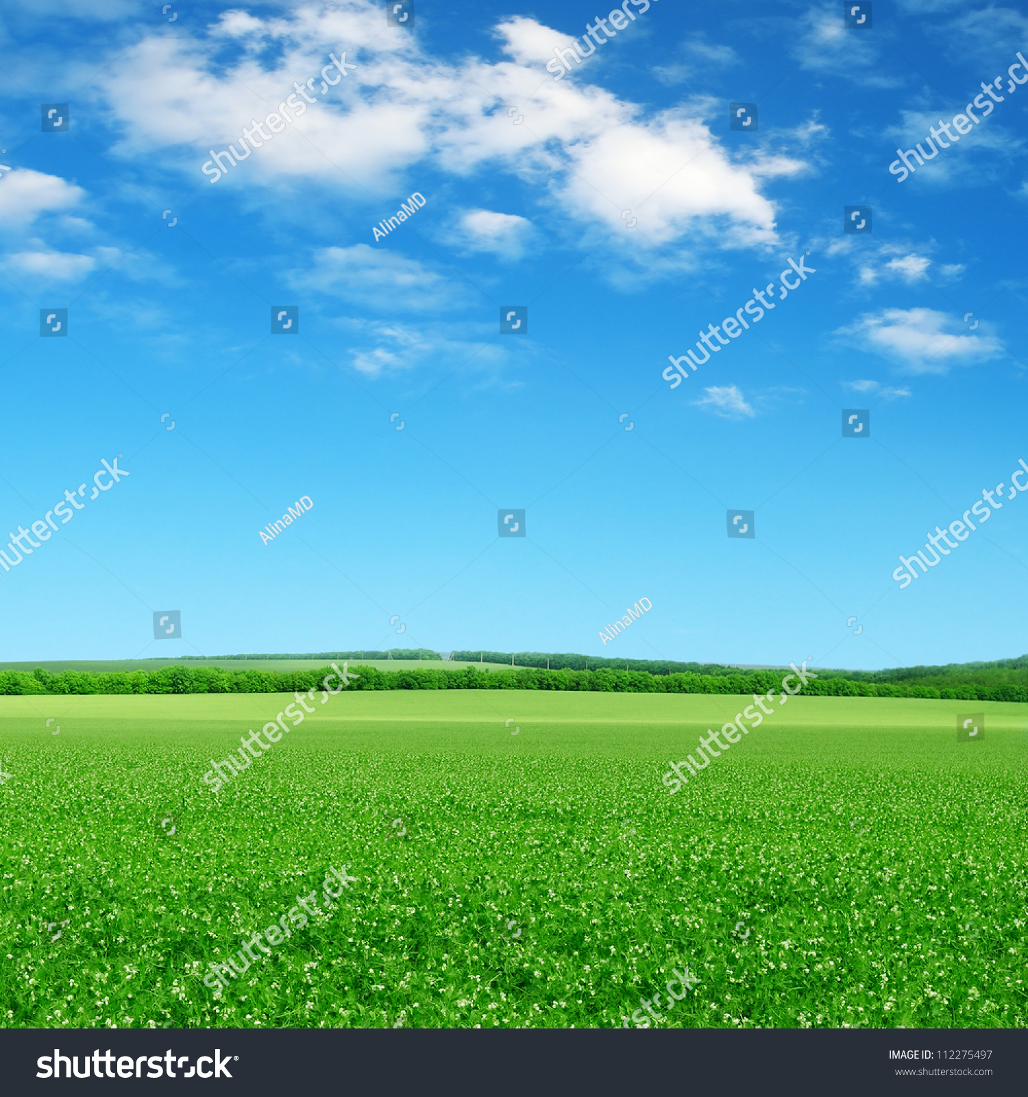 green field and blue sky with light clouds #112275497