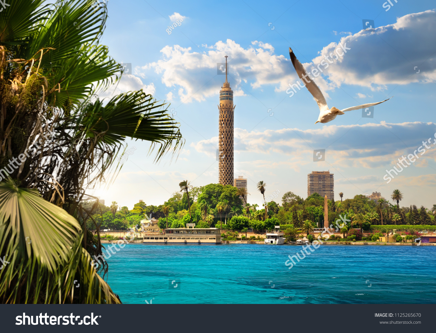 TV tower near Nile in Cairo at sunlight #1125265670