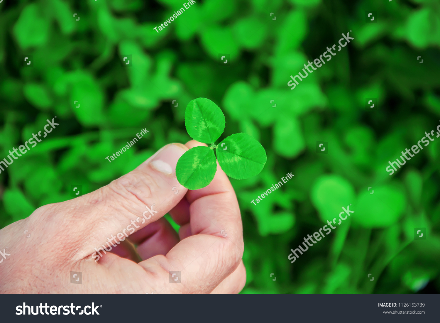 Clover leaf. Happy St. Patrick's Day.  #1126153739