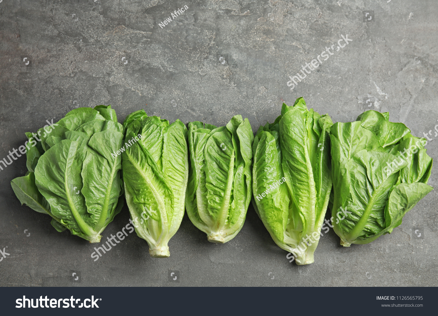 Fresh ripe cos lettuce on gray background, top view #1126565795