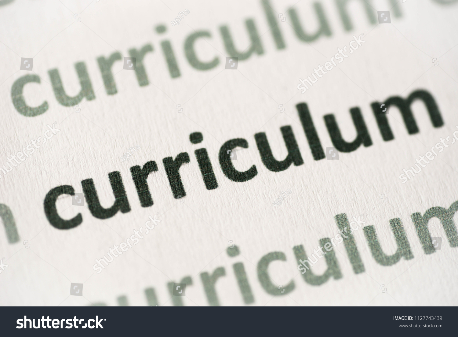 word curriculum printed on white paper macro #1127743439