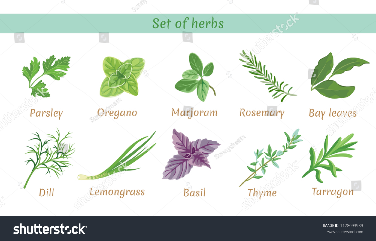 Set of herbs. Collection of vector icons in flat style on white background. Parsley, thyme, oregano, marjoram, dill, lemongrass, tarragon, bay leaves, basil,  rosemary. #1128093989