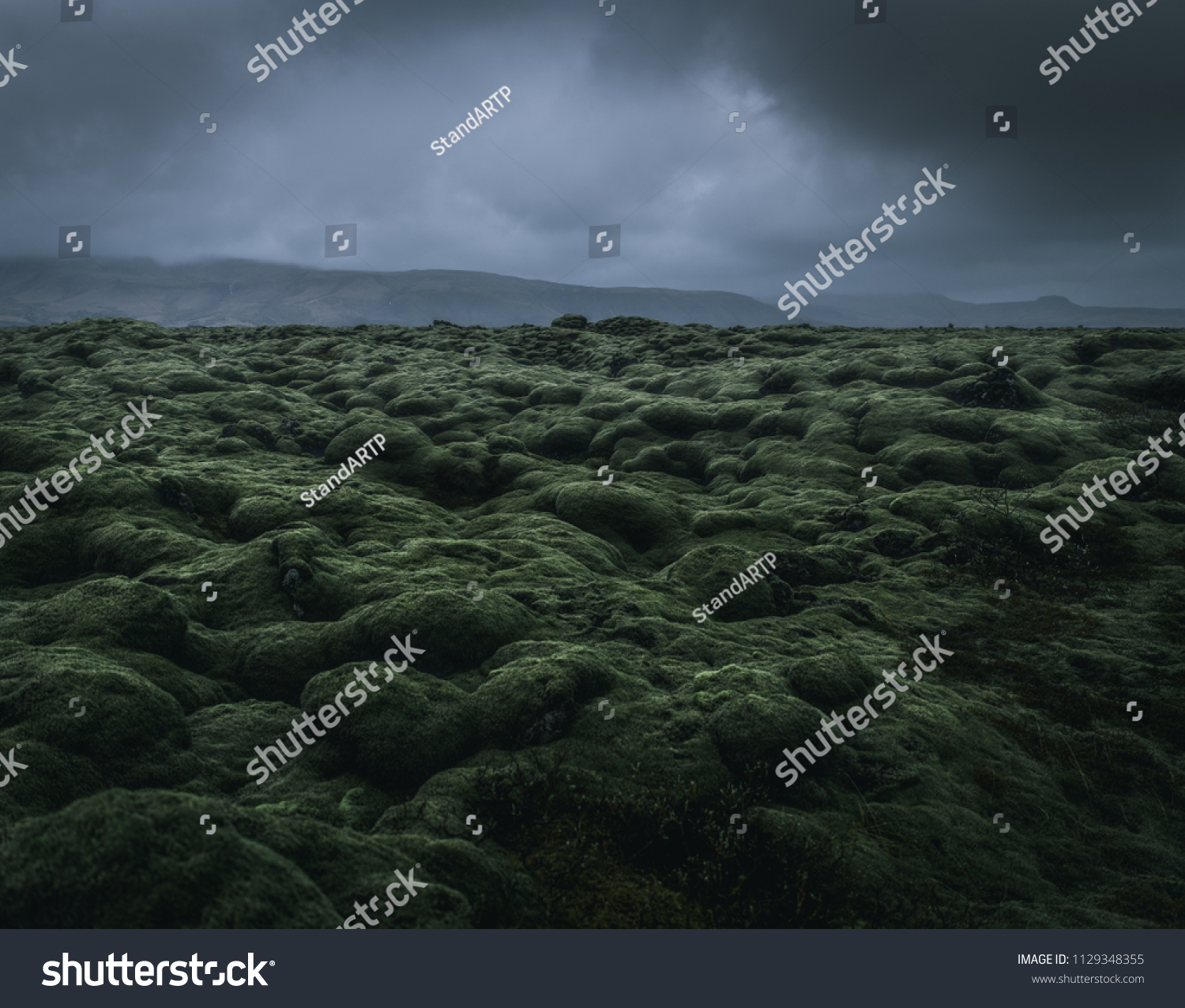 wide wild moss field in Iceland with a dramatic cloudy sky and mountains in the misty background with a moody atmosphere during a rainy day dwith a grey background and green foreground #1129348355