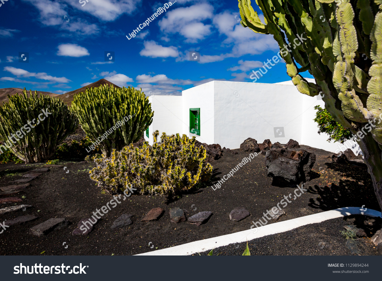 Street view of beautiful residential white stone garden house surrounded by black volcanic soil and huge cactuses with patio and great blue spring sky with white clouds, Lanzarote,Canary Islands,Spain #1129894244