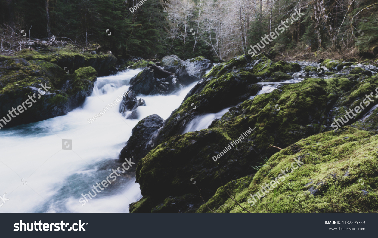 Landscapes from Washington State National Forests and National Parks. #1132295789