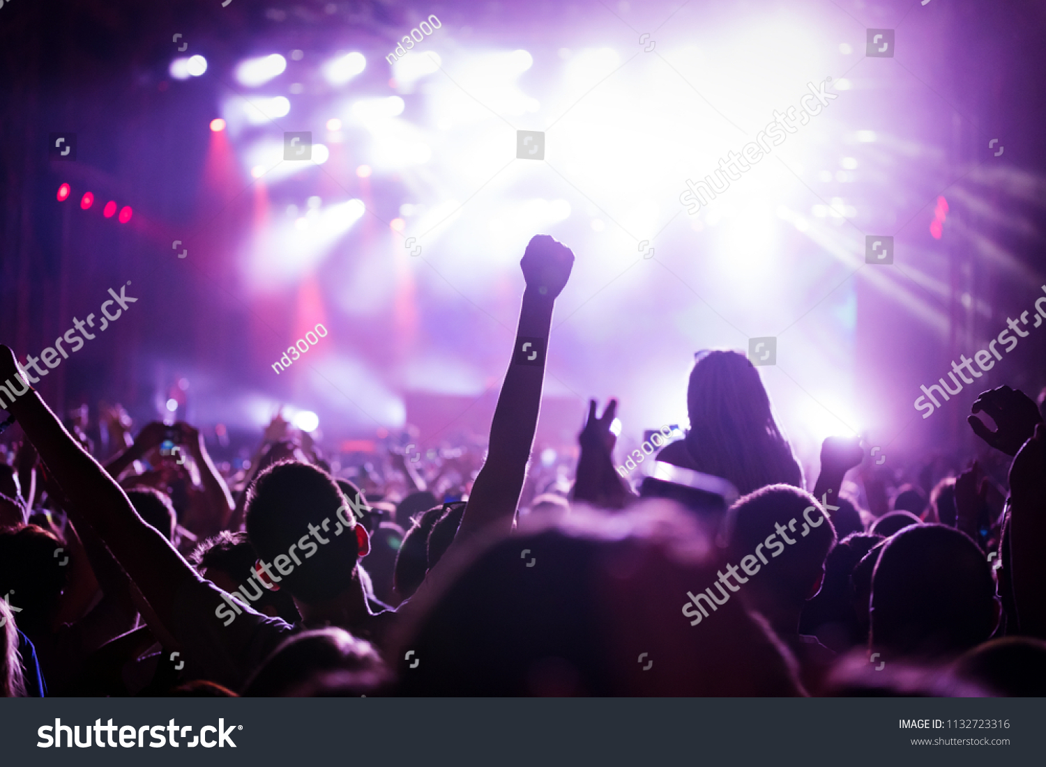 Picture of party people at music festival #1132723316