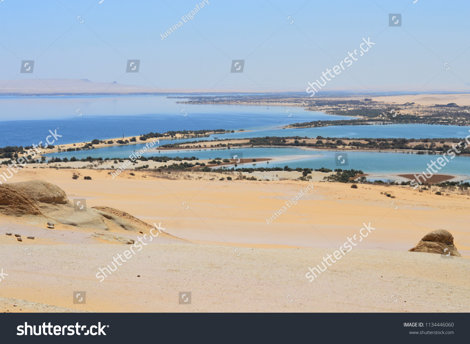 Beautiful surreal oasis in a sandy desert, Fayoum oasis in Sahara desert, Egypt, Africa #1134446060