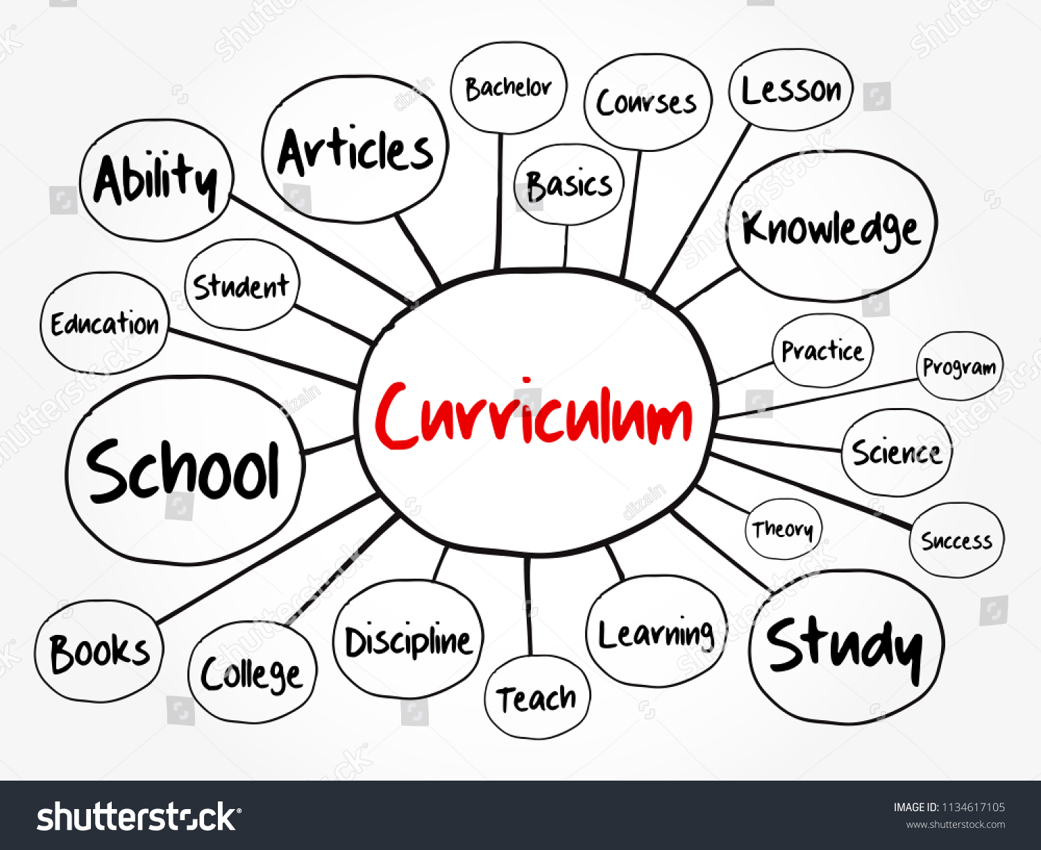 Curriculum Mind Map Flowchart Education Concept Royalty Free Stock