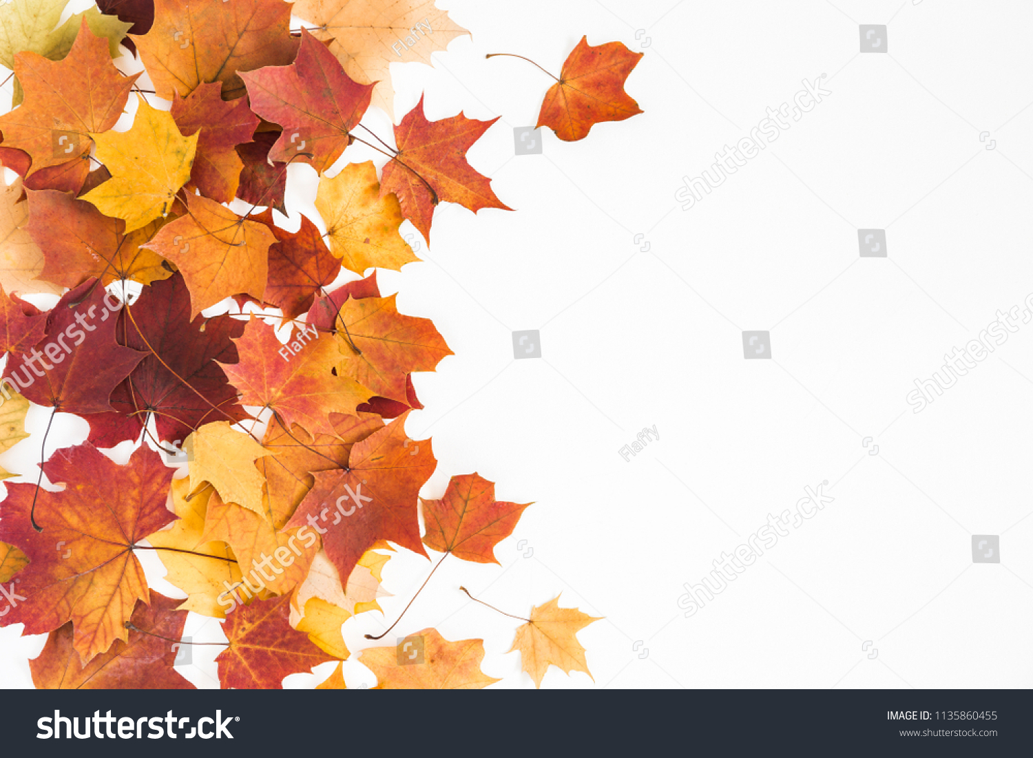 Autumn composition. Frame made of autumn dried leaves on white background. Flat lay, top view, copy space #1135860455