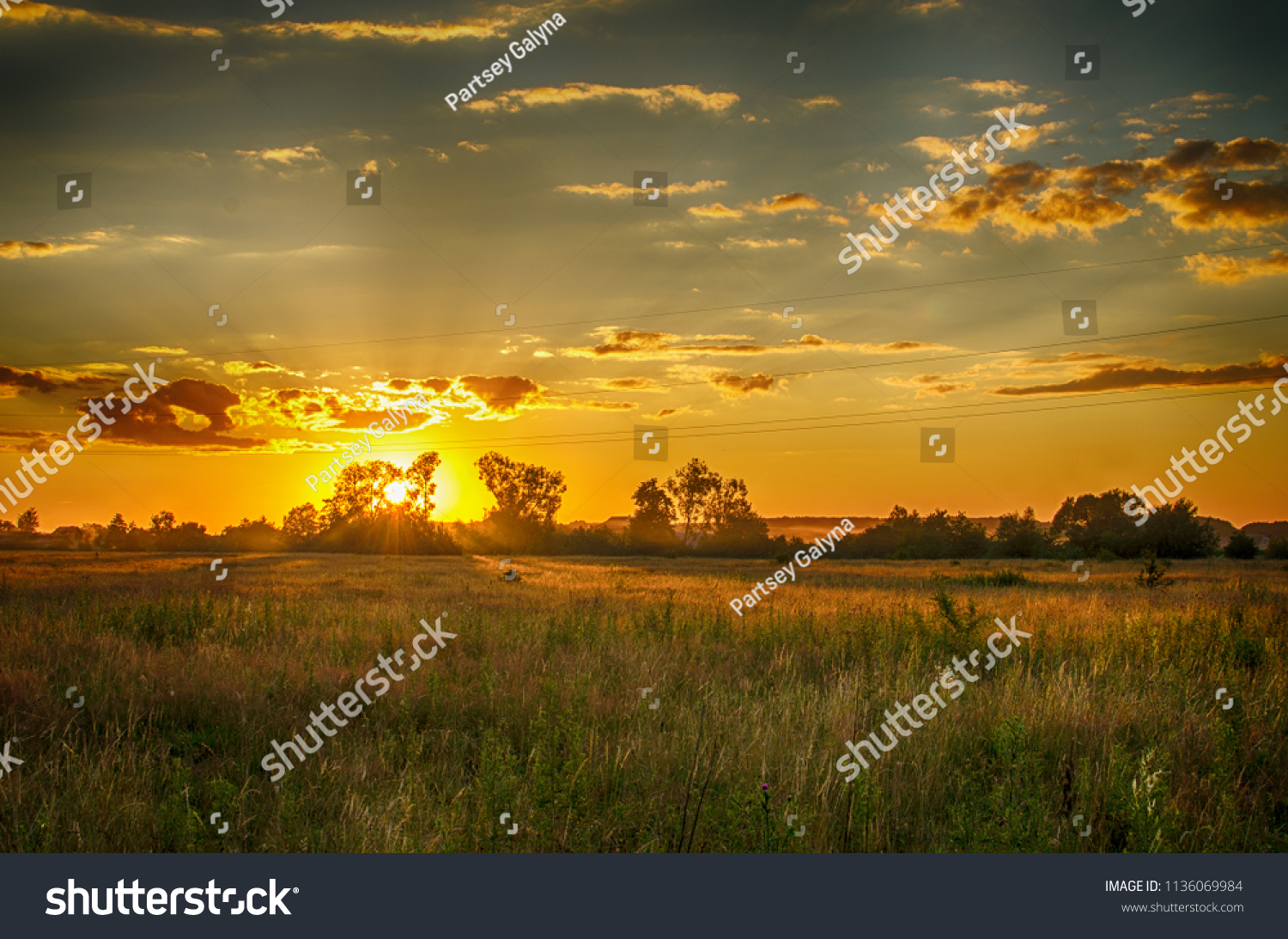 The sky and sunset with the field on which the grass grows #1136069984