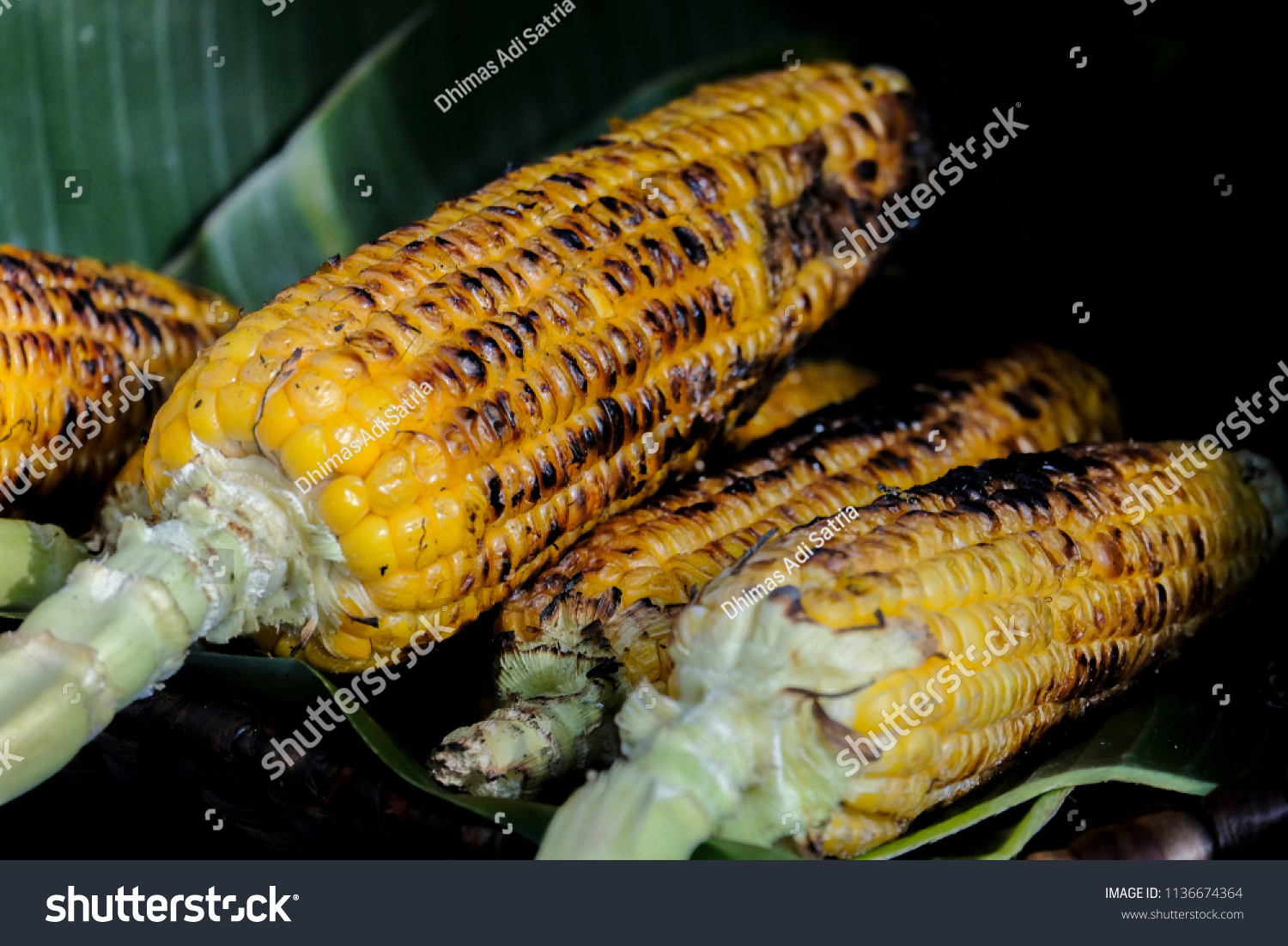 The roased corn in the process of ripening #1136674364