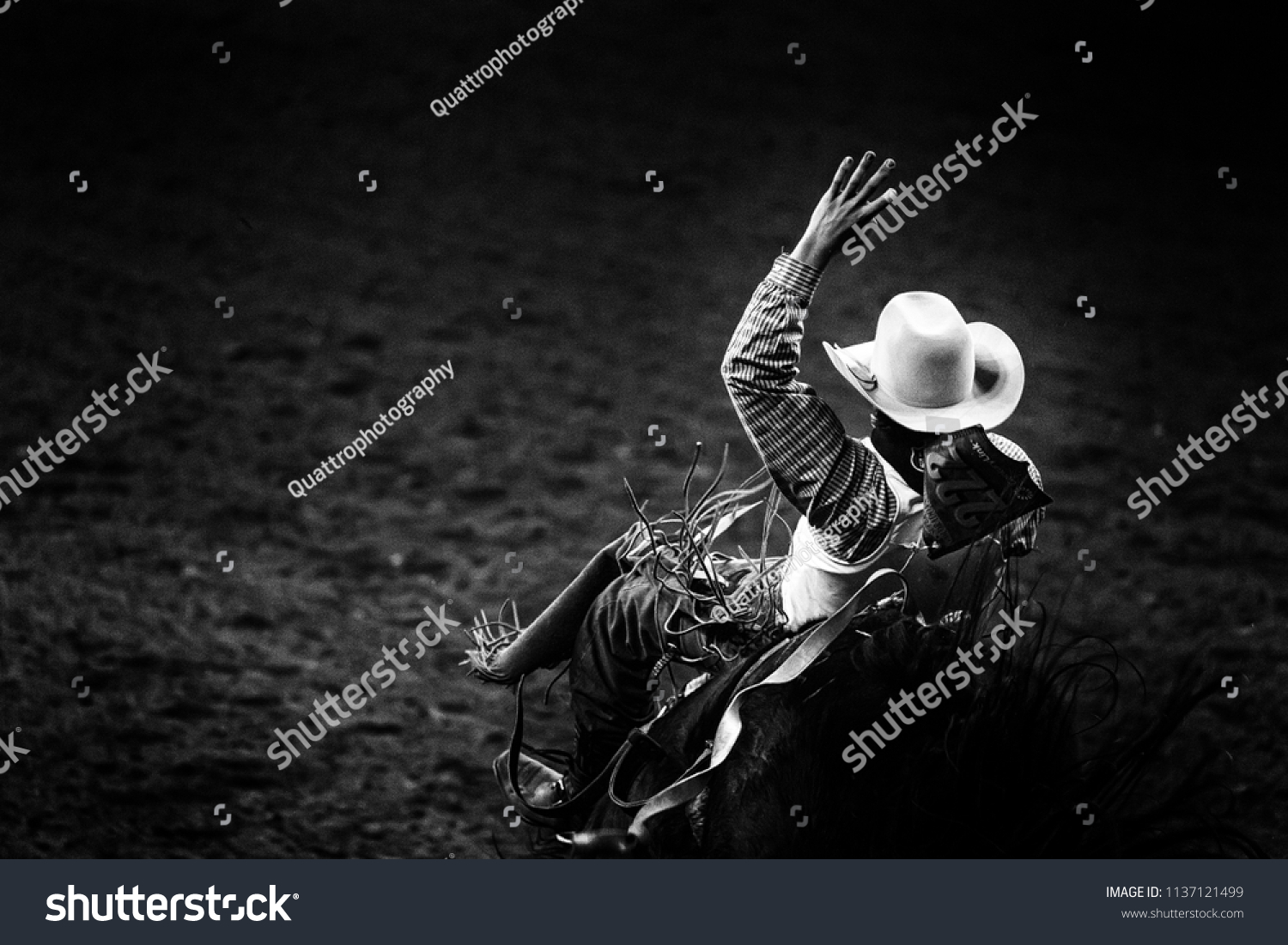 Monochrome rodeo cowboy in a white hat riding a bronco in the spotlight #1137121499