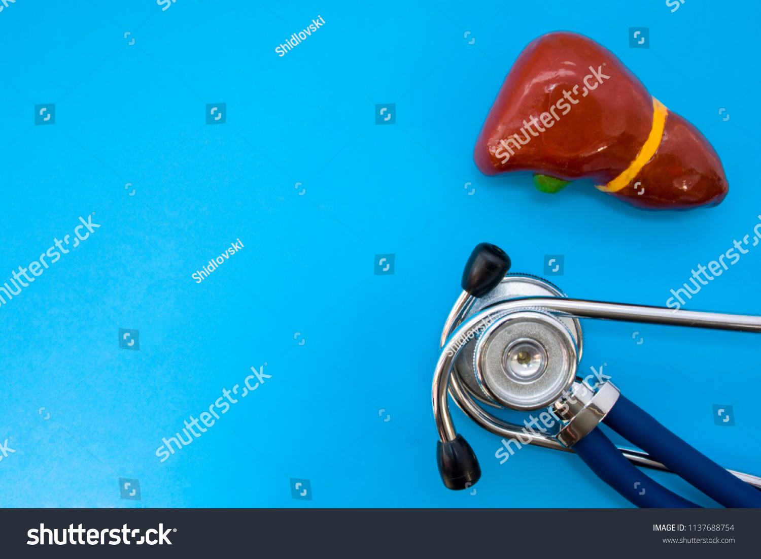 Anatomic study model of liver or hepar and stethoscope on blue background occupy half of photo, in second half - empty space for titles. Medical concept photo for use in hepatology, surgery, oncology #1137688754