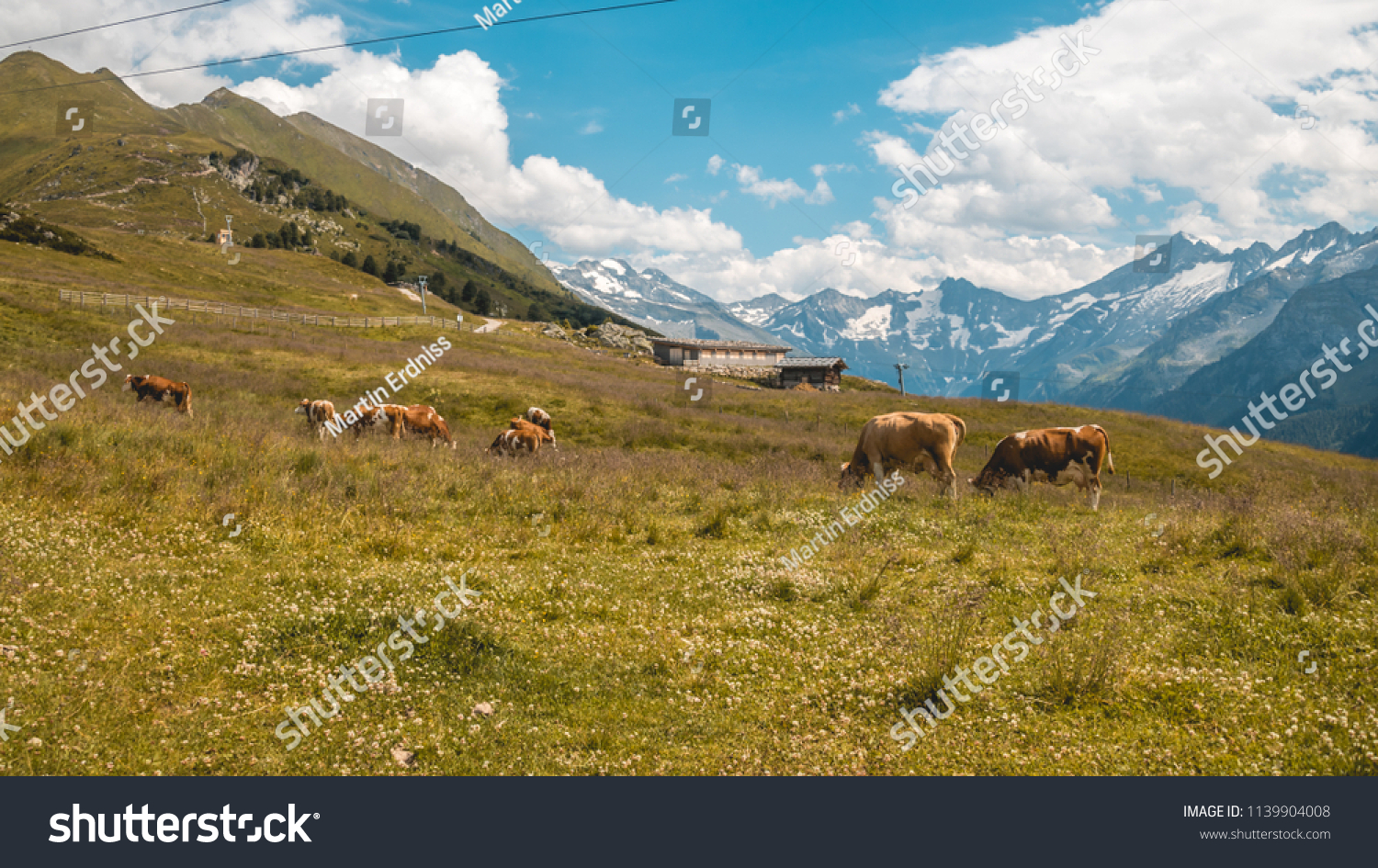 Beautiful alpine view at Mayrhofen - Zillertal - Tyrol - Austria #1139904008