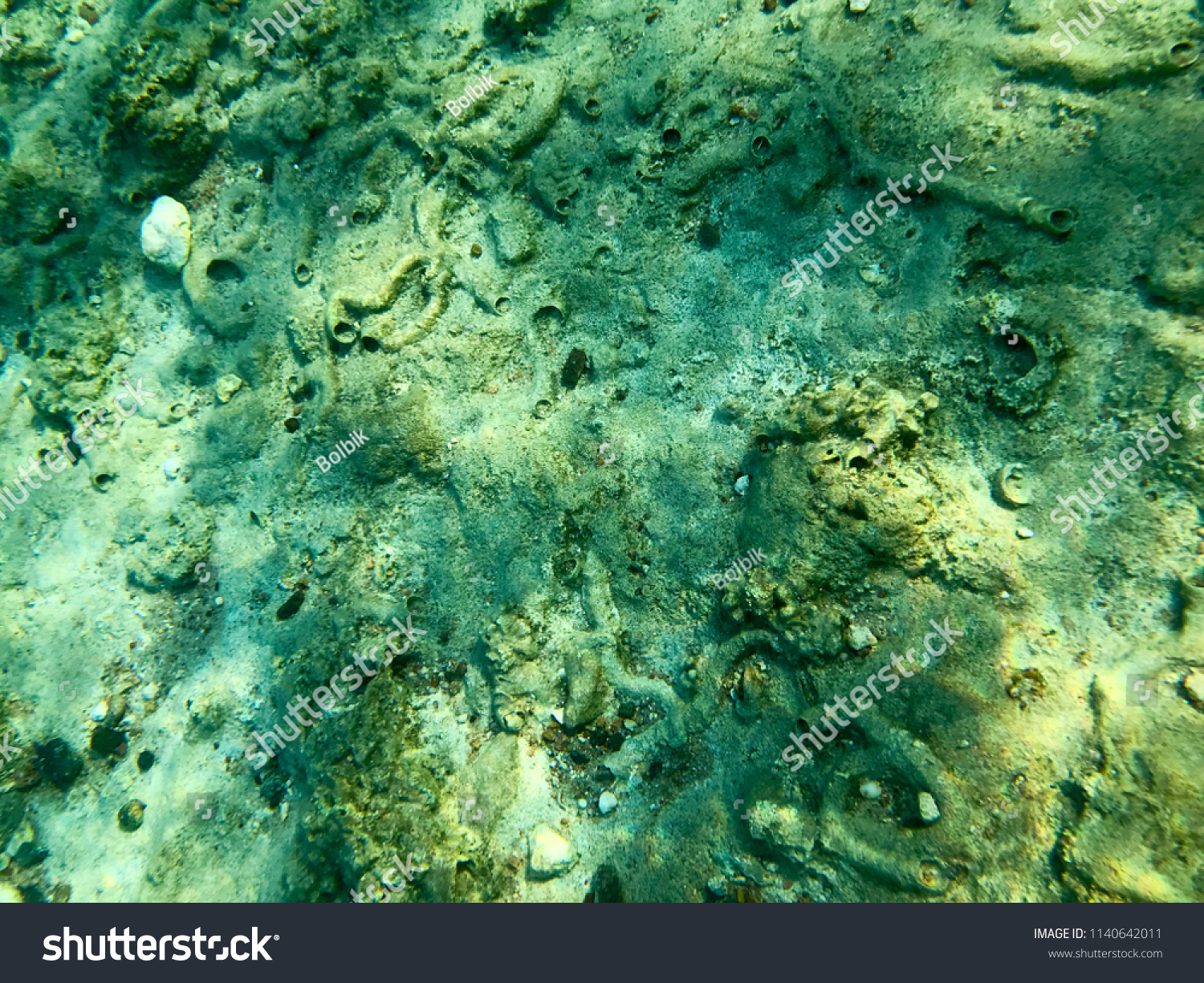 Texture of stones, earth, seabed with coral reefs and algae under blue greenish water, underwater view of the sea, the ocean in a tropical resort. The background. #1140642011
