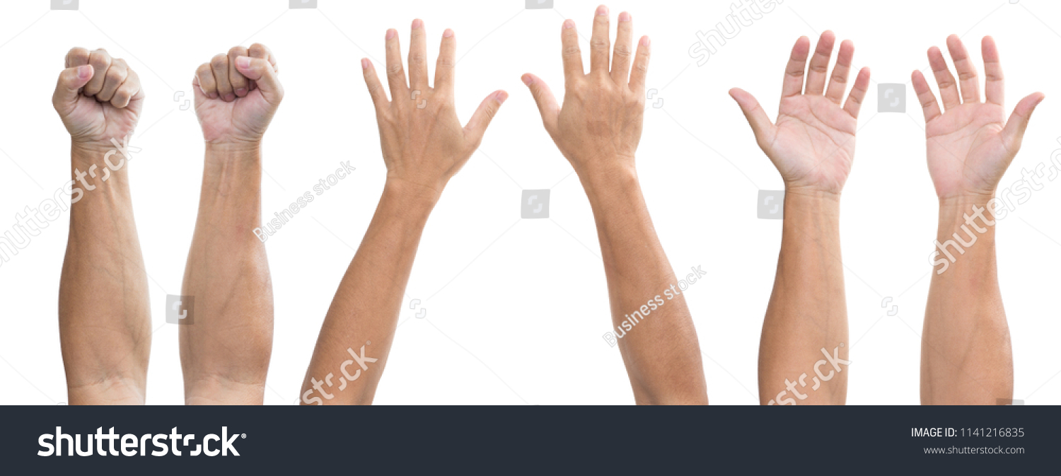 set of man hands isolated on white background #1141216835