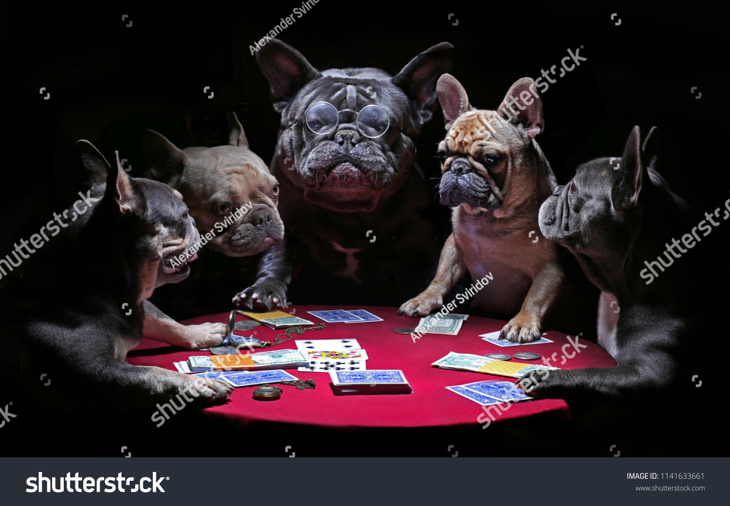 French bulldogs playing cards #1141633661