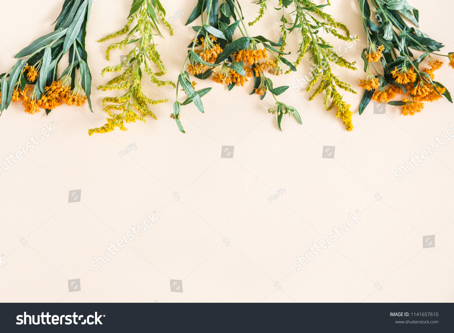 Autumn floral composition. Border made of fresh flowers on pastel beige background. Autumn, fall concept. Flat lay, top view, copy space #1141657610