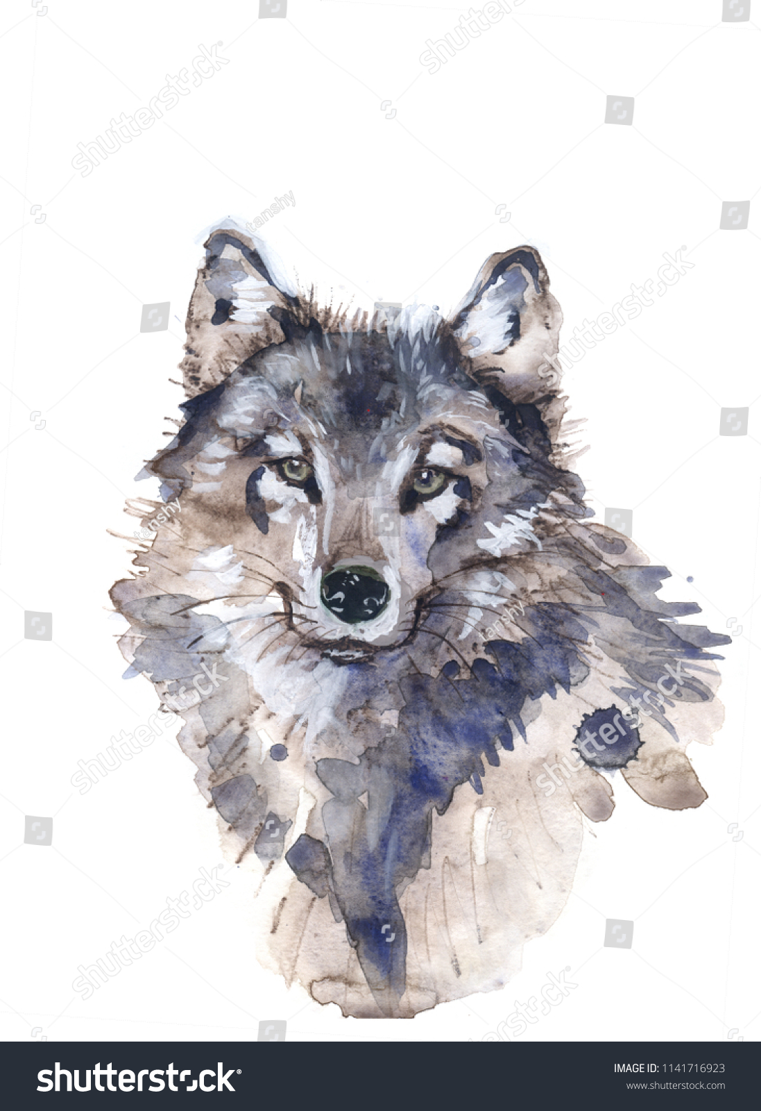 wolf illustration watercolor avatar, print #1141716923