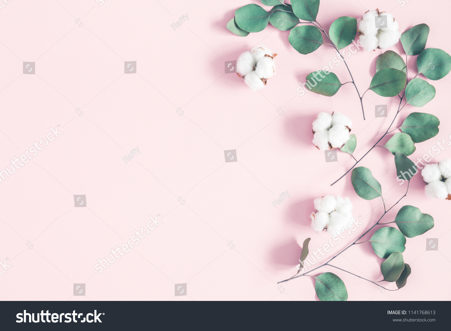 Eucalyptus leaves and cotton flowers on pastel pink background. Flat lay, top view #1141768613