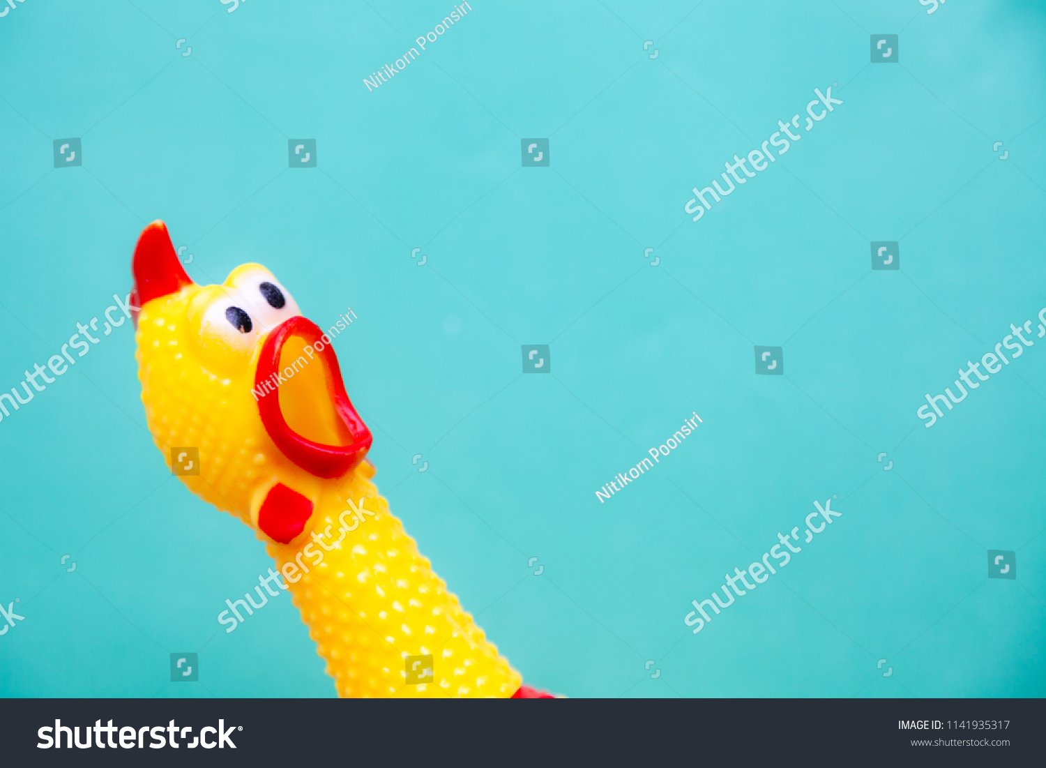 squawking chicken or squeaky toy are shouting and copy space pastel background. #1141935317