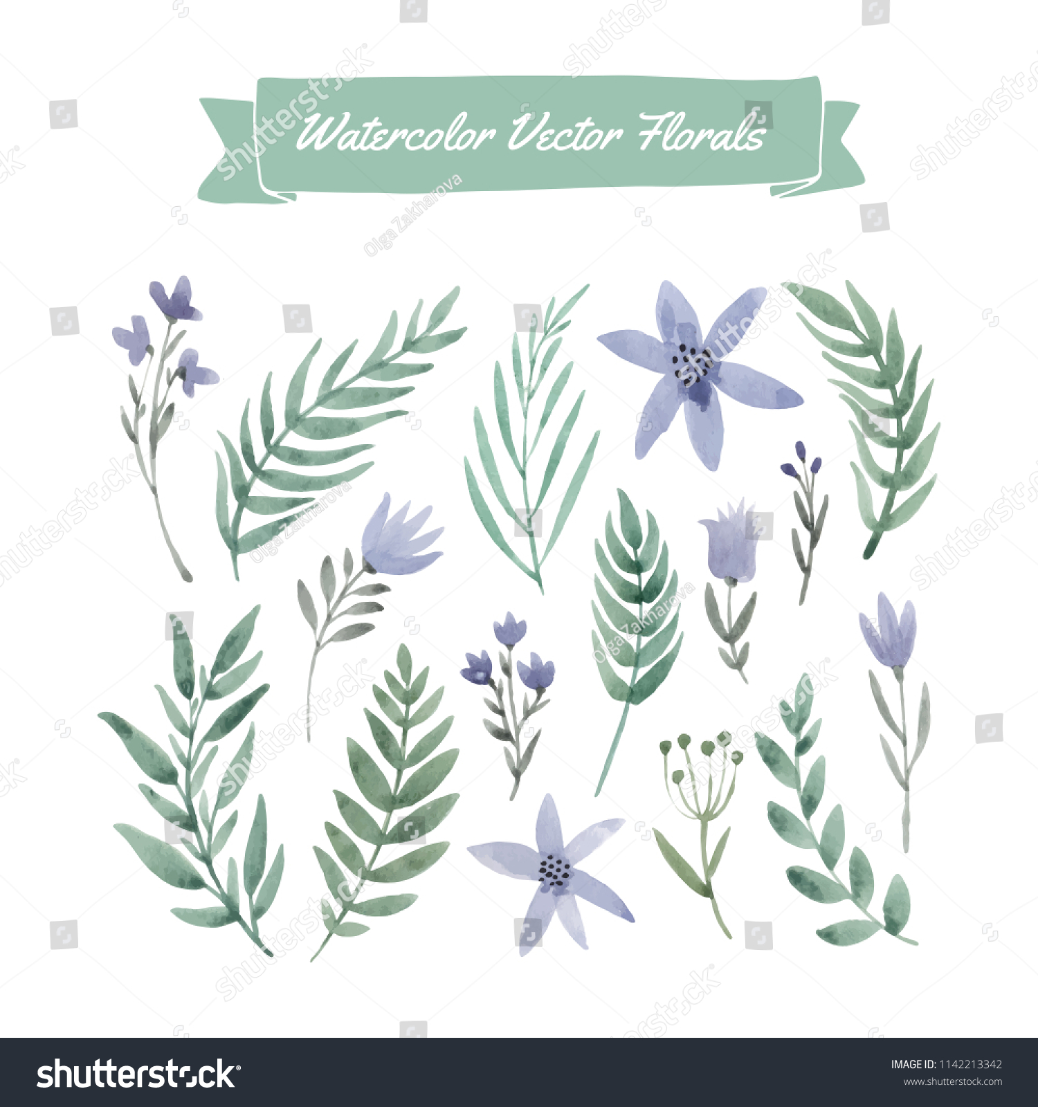 Set of handpainted watercolor vector flowers and leaves.  #1142213342