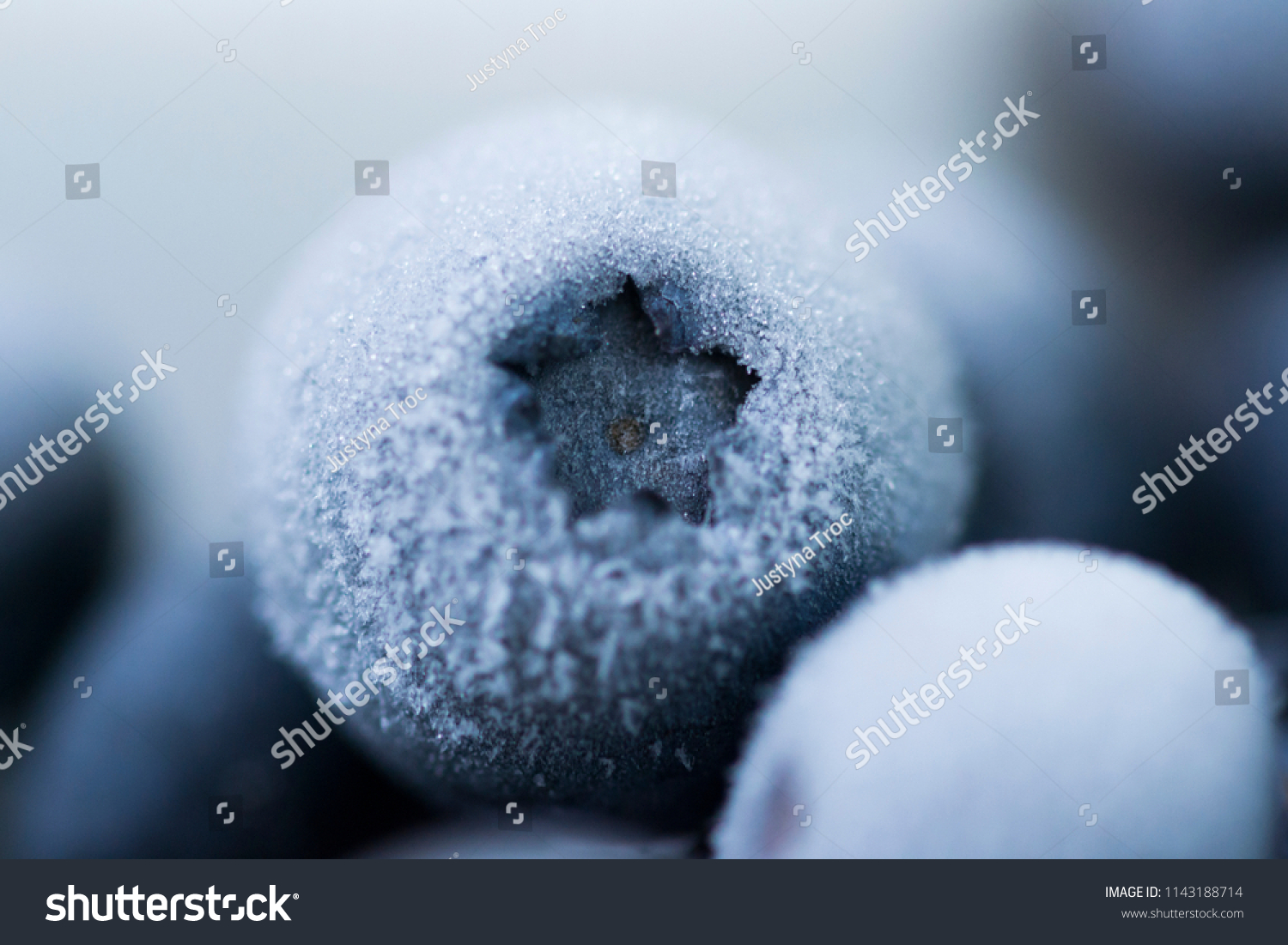 Frozen blueberries close up picture.  #1143188714