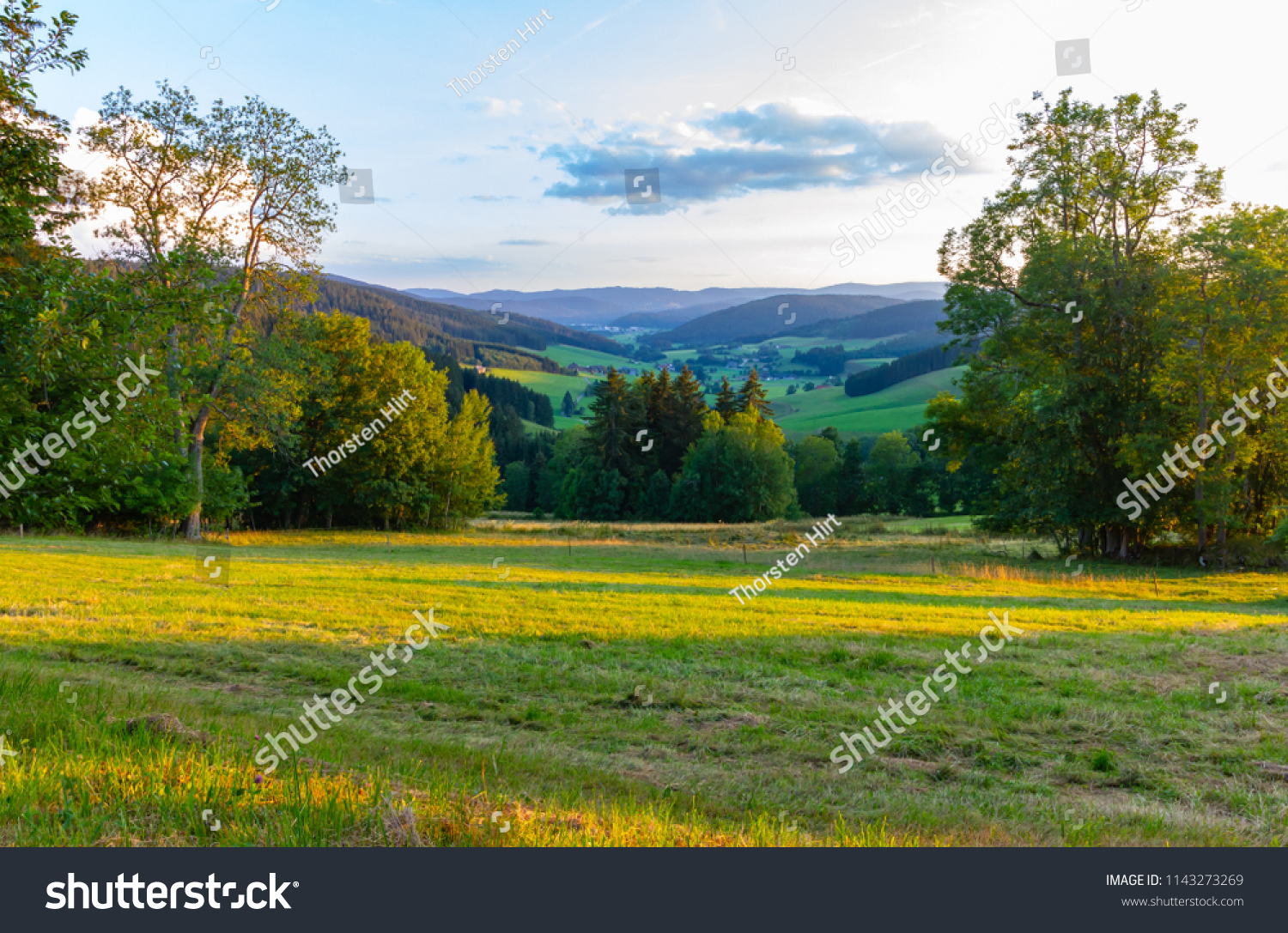 Amazing, breathtaking panoramic view on the beautiful forest, alpine mountains and valleys and idyllic meadow fields of South Germany close to the Alpes with a blue sky before sunset #1143273269