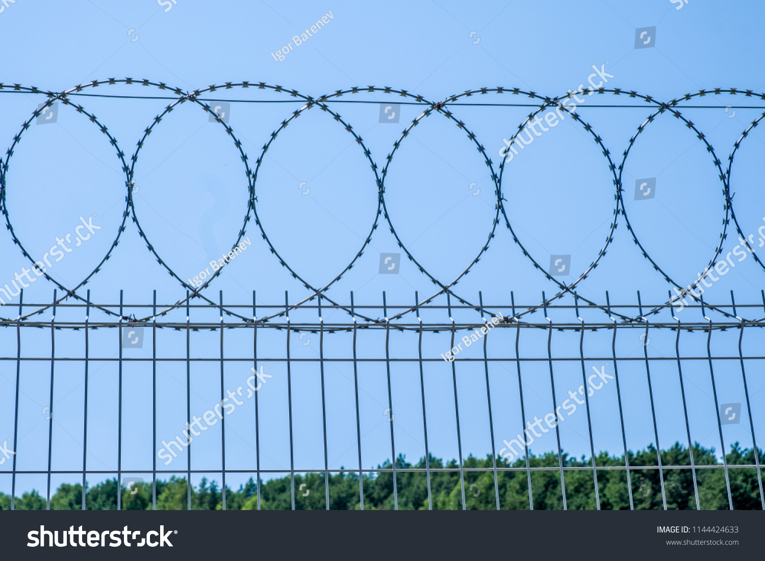 Barbed wire on a wire fence. #1144424633