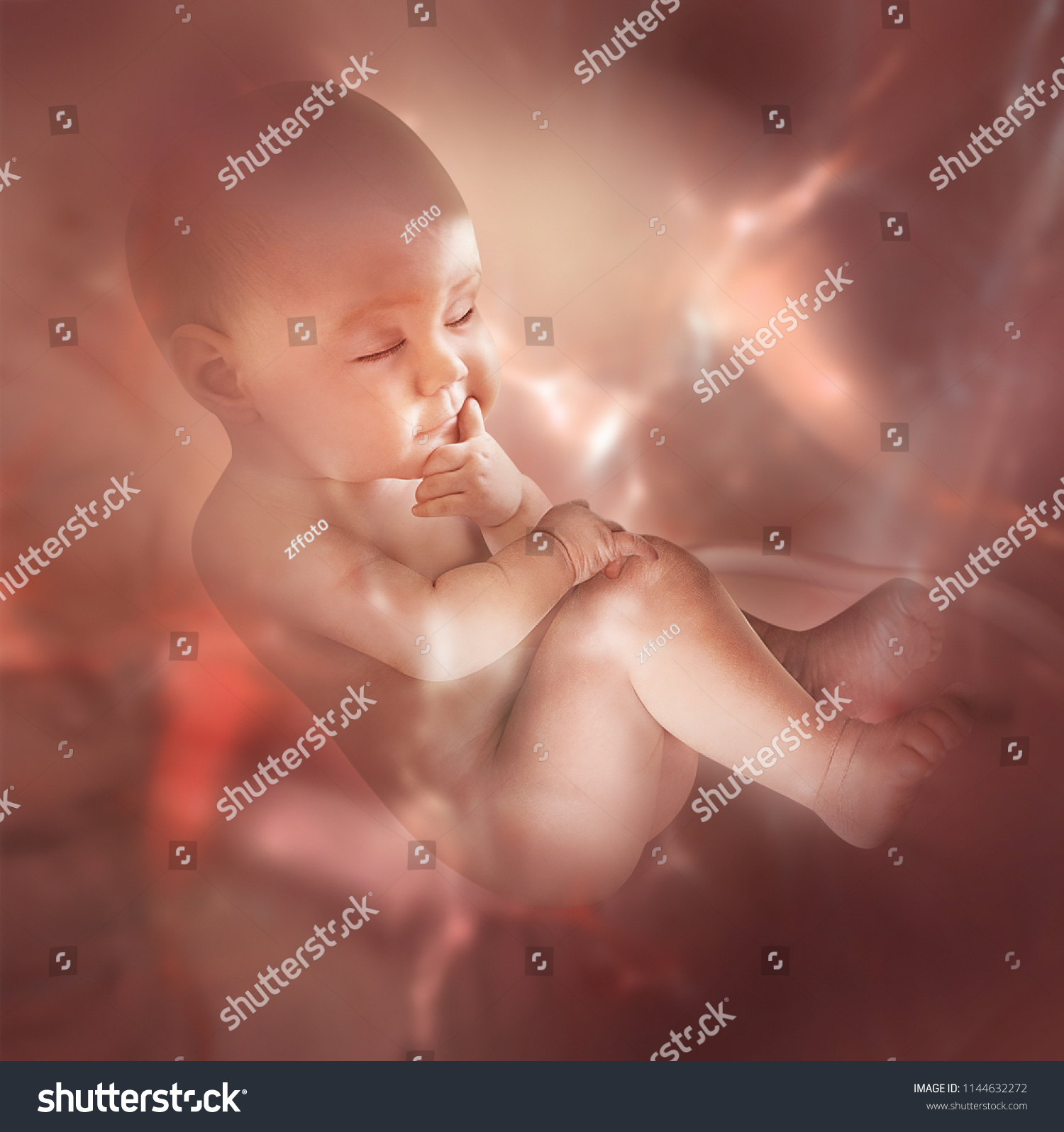 conceptual maternity image with an embryo inside belly during pregnancy #1144632272