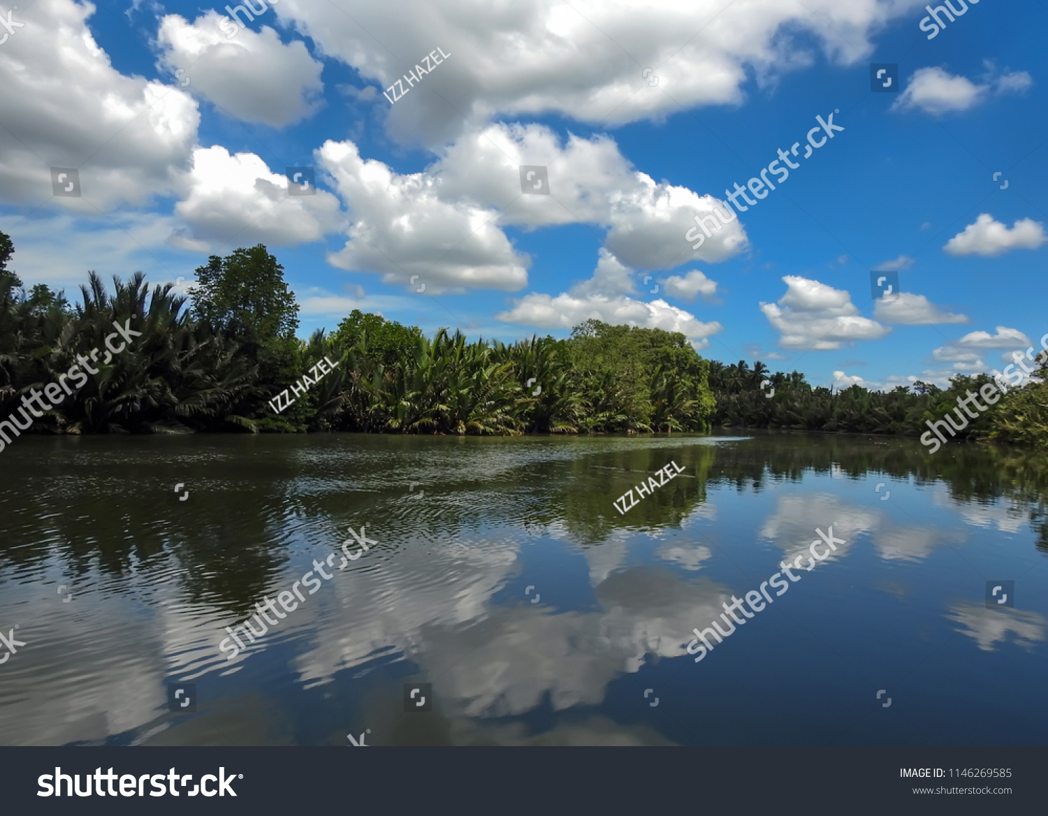  countryside view, Spring summer landscape with calm lake water and blue sky clouds . located at Terengganu, Malaysia.          #1146269585