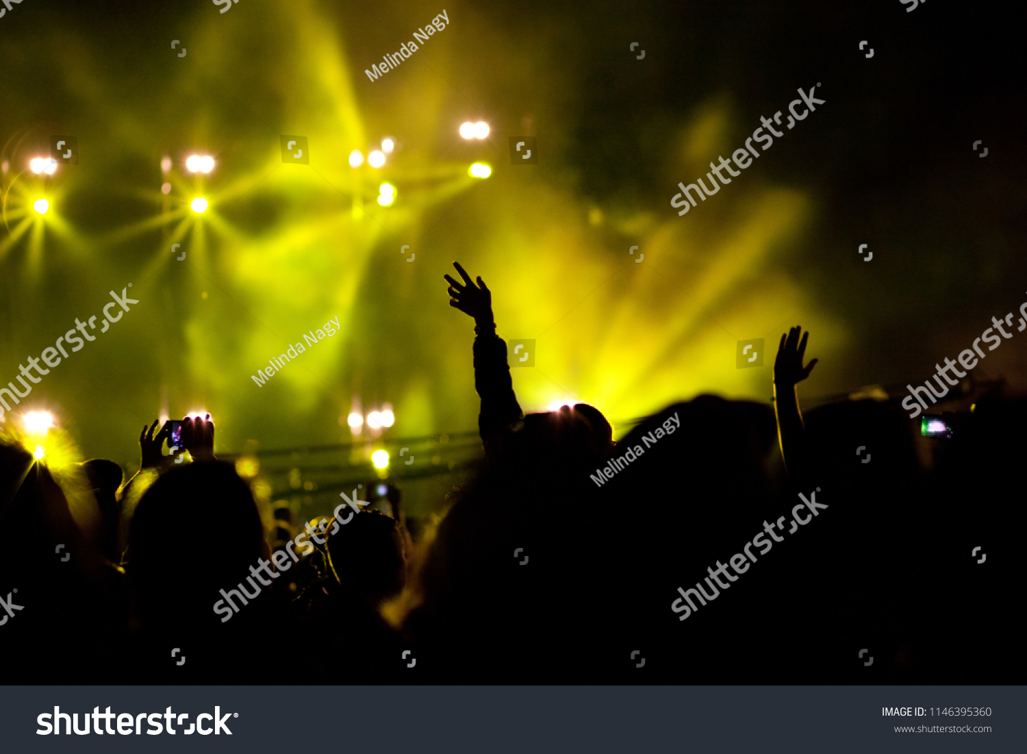 cheering crowd with raised hands at concert #1146395360