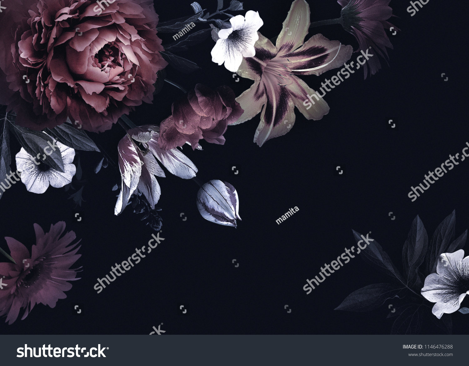 Floral vintage card with flowers. Peonies, tulips, lily, hydrangea on black background.  Template for design of wedding invitations, holiday greetings, business card, decoration packaging #1146476288